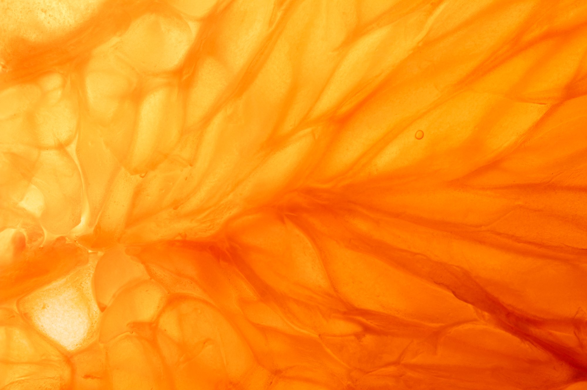 BV3A3089-Edit.jpg