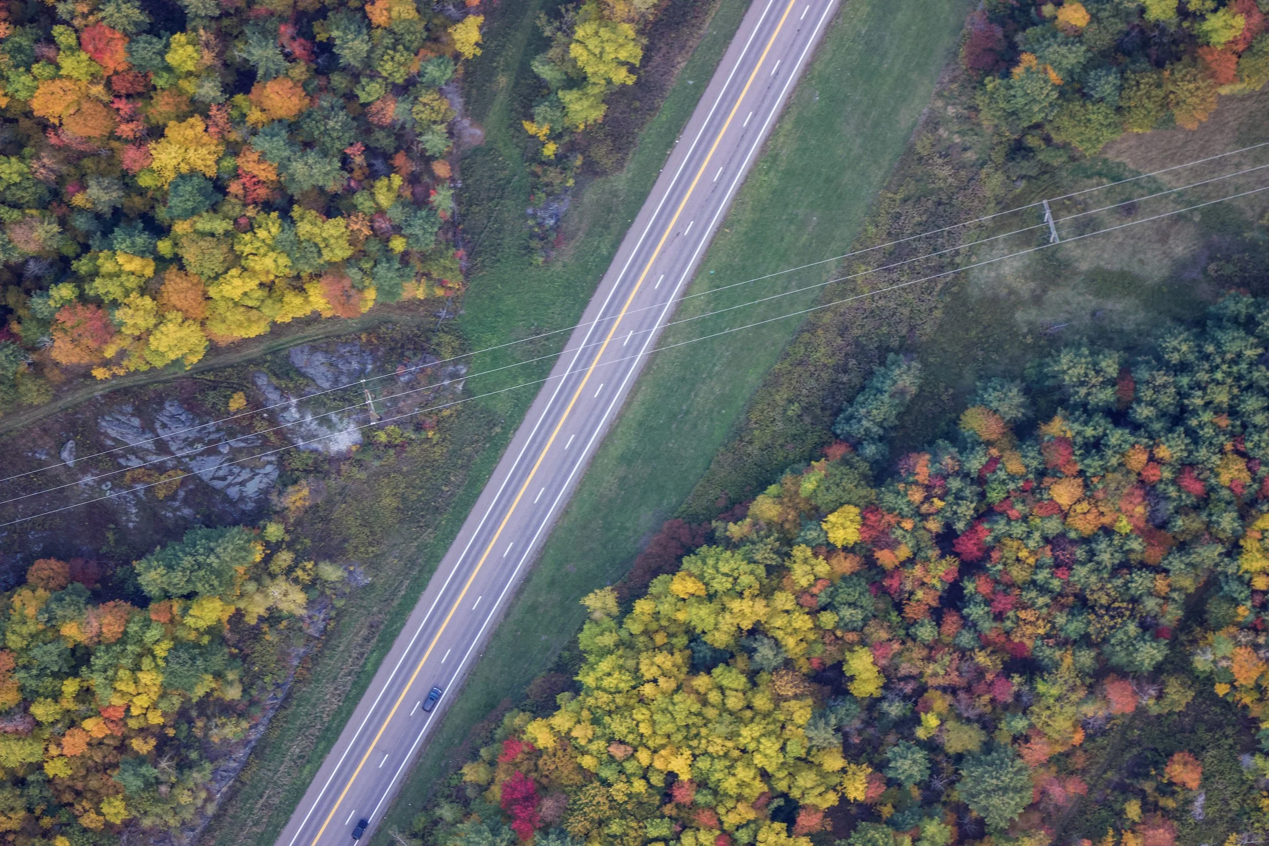 An aerial view of a road running through a forest with trees displaying fall colors.