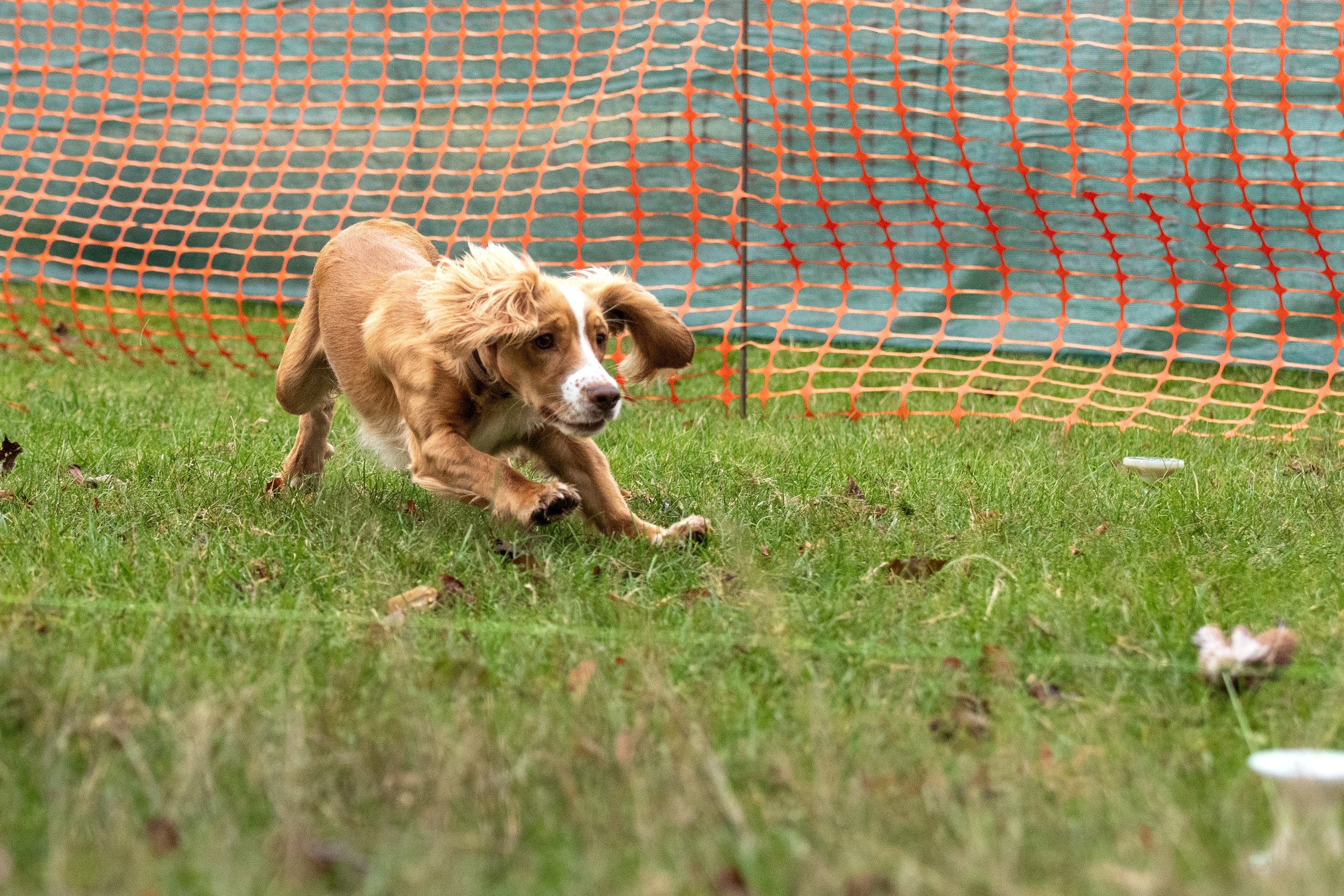IMG_2760.JPG