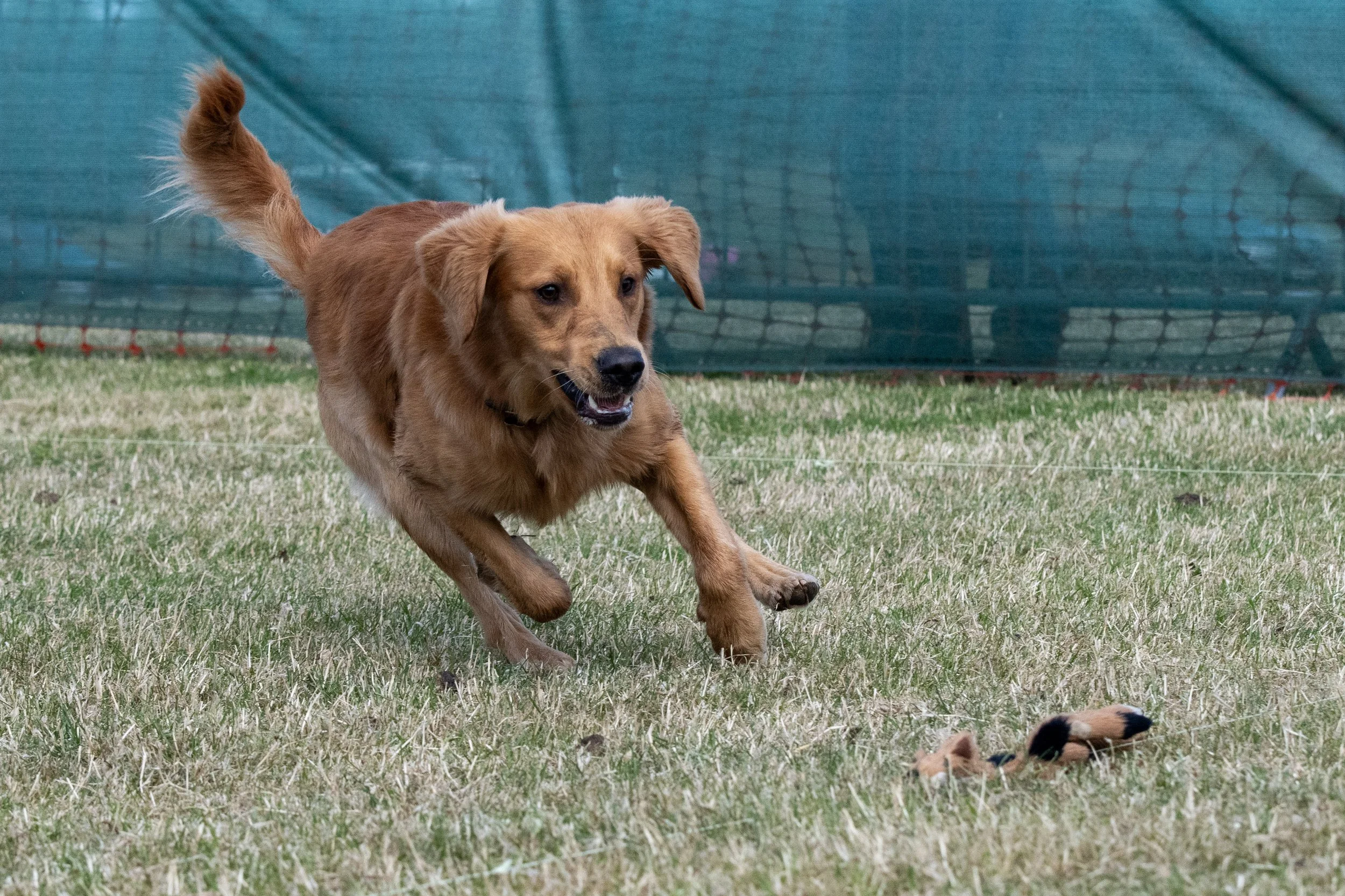 DSC_2549_Original.JPG