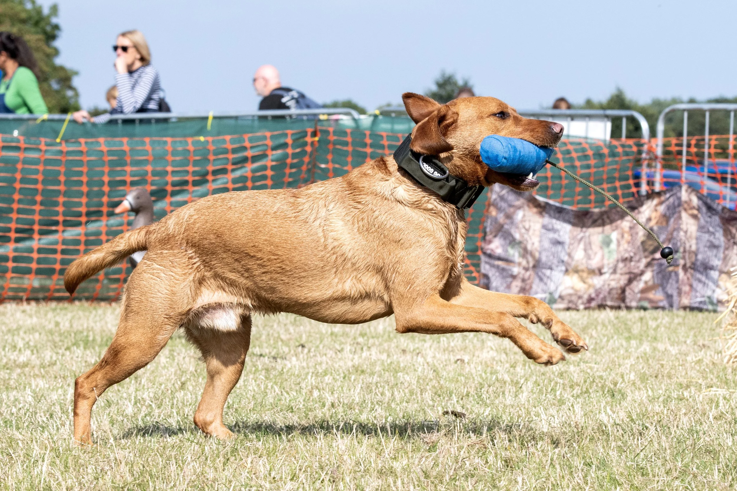 DSC_0533_Original.JPG