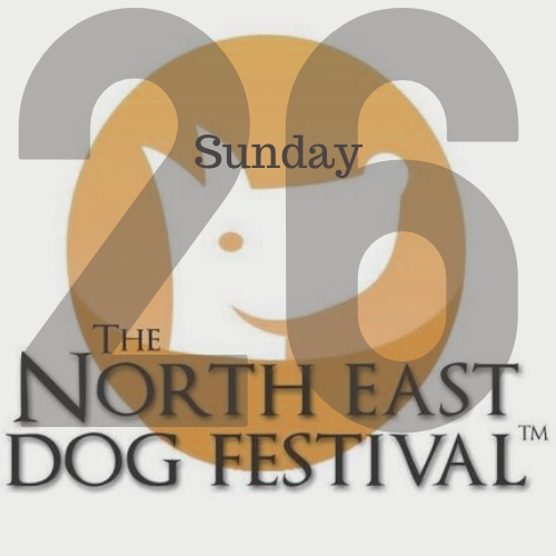 North East Dog Festival Sunday 2026