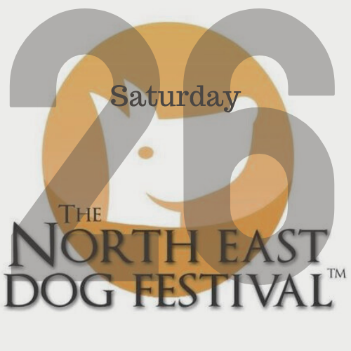 North East Dog Festival Saturday 2026