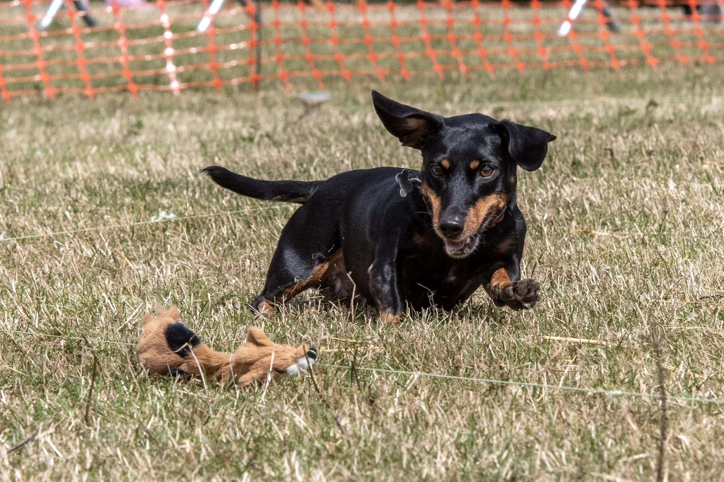 DSC_2128_Original.JPG