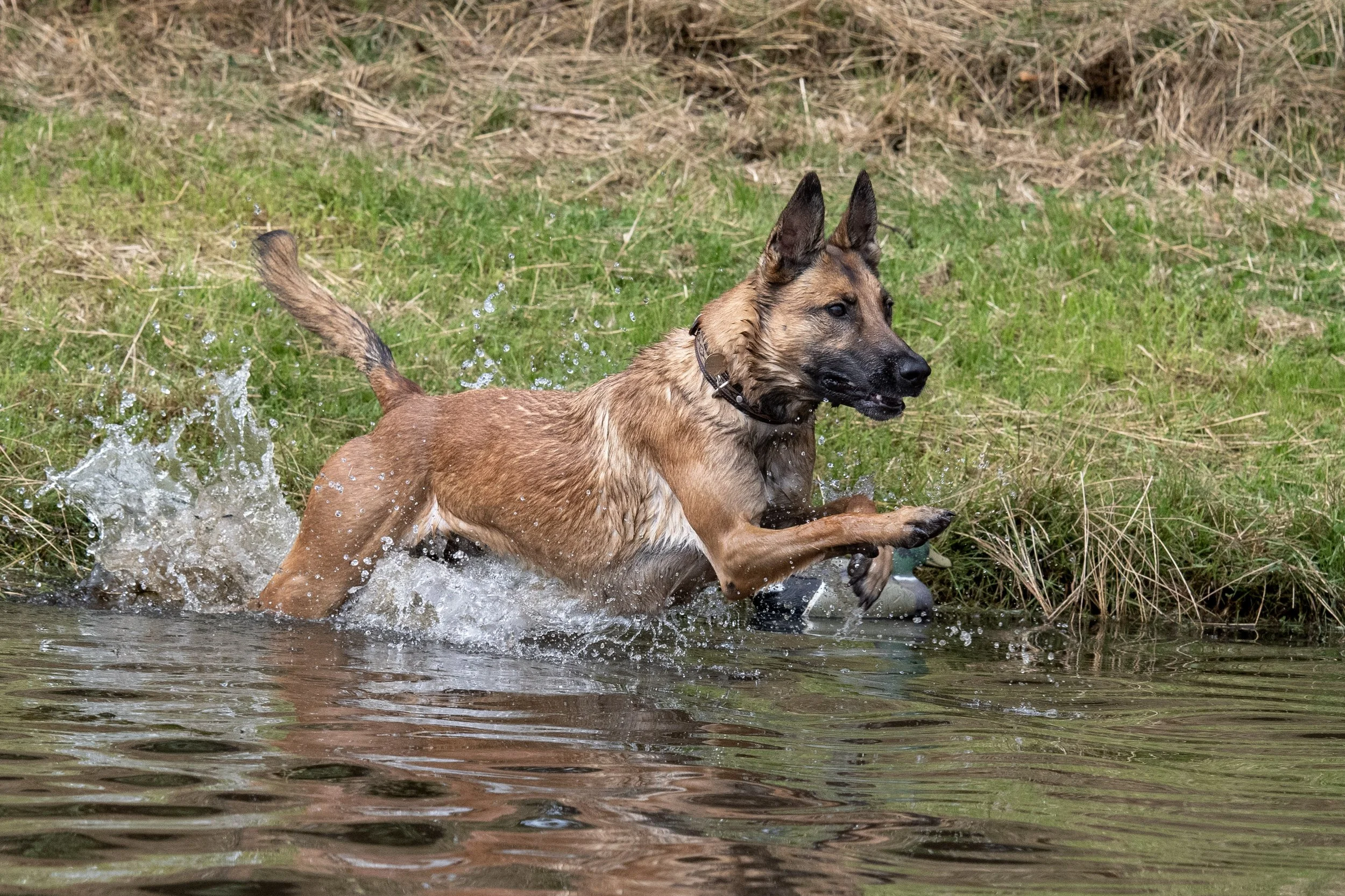 DSC_9989_Original.JPG