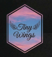 Tiny Wings 5K Run/Walk