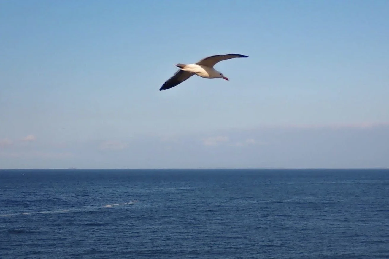 IMG_2758.jpeg