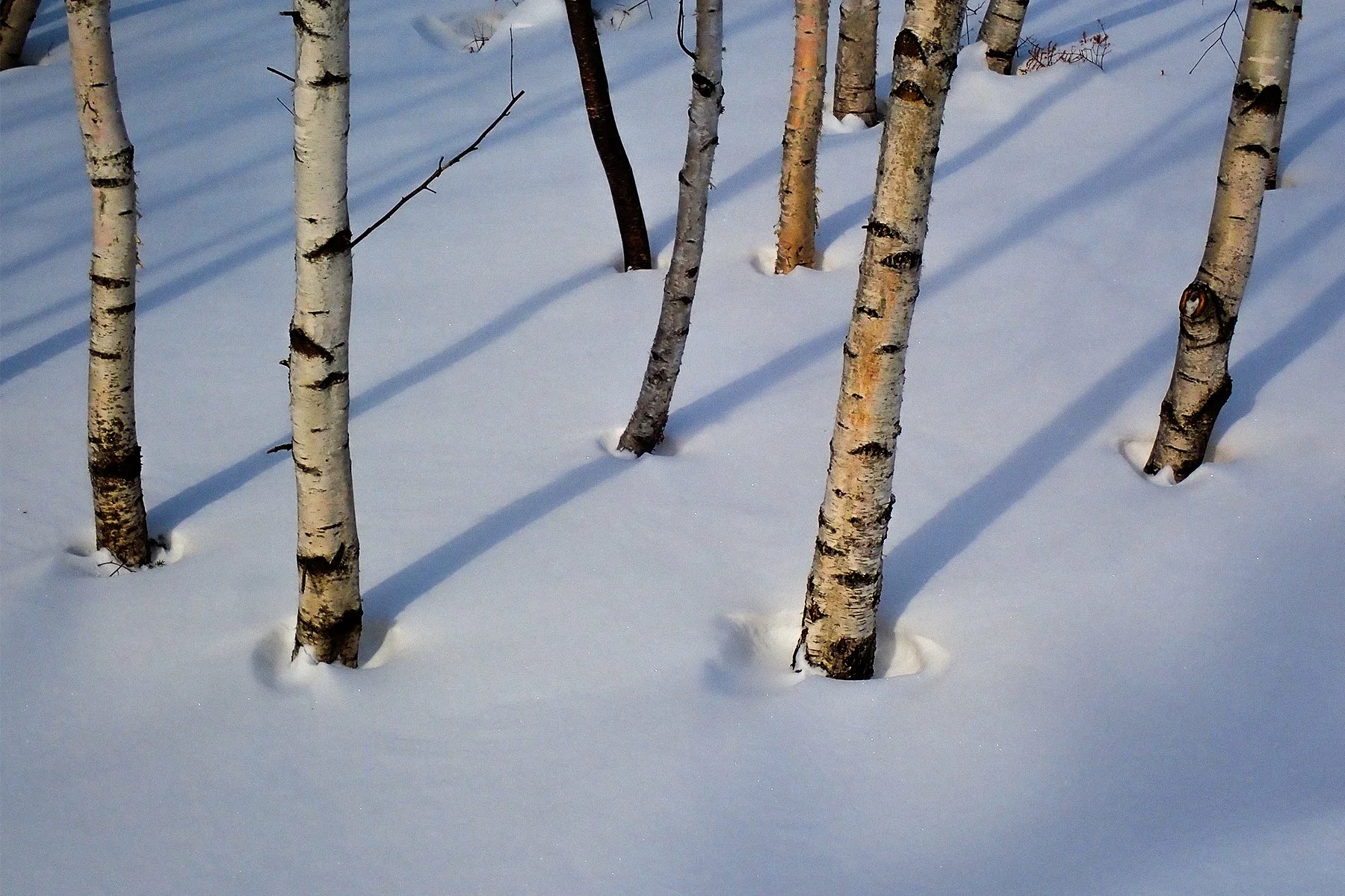 stowe snow sunrise 3.jpg