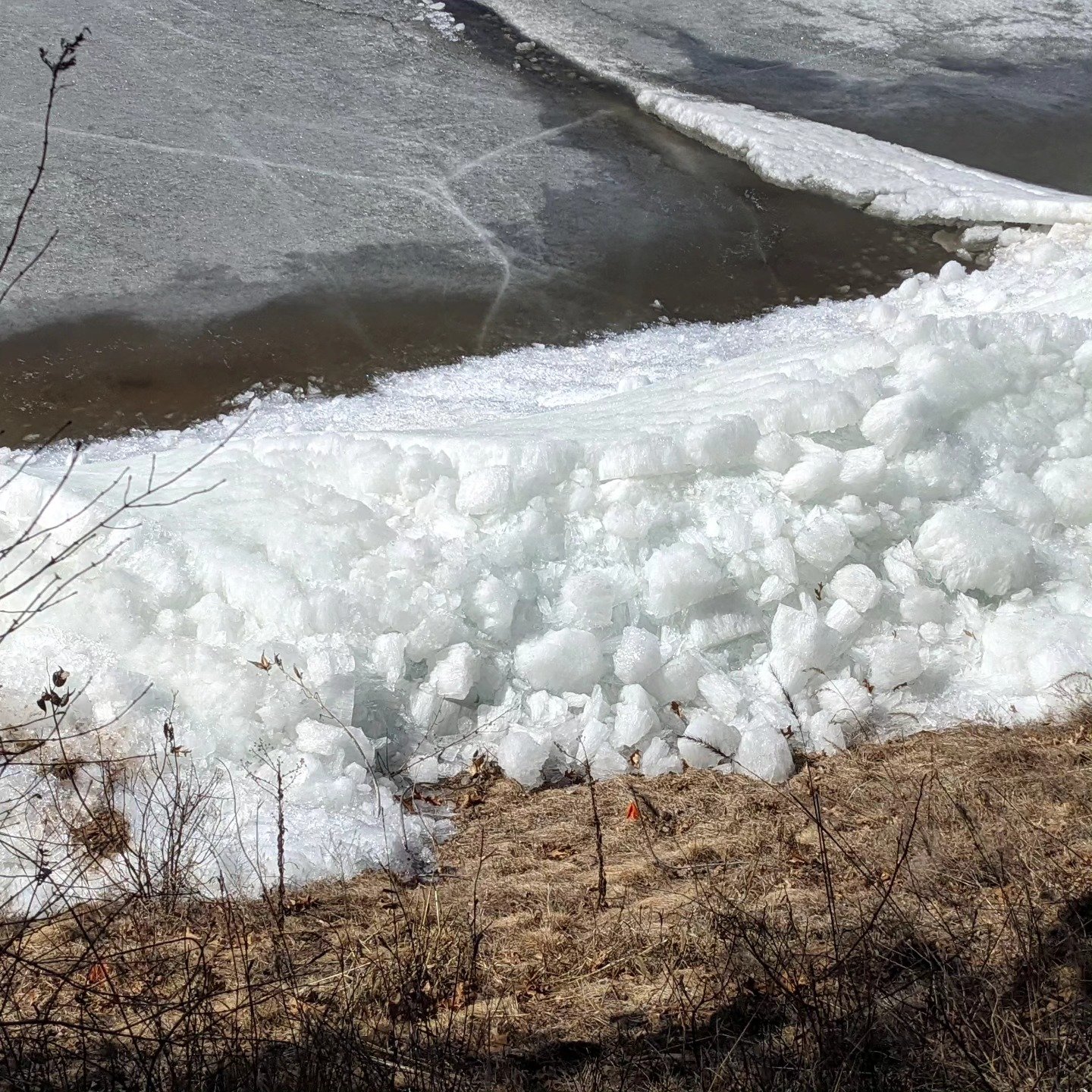 The ice piled up on the eastern shoreline of the Petenwell with the strong winds last  Friday.  The verdict on the shoreline stability won't be known until the big thaw finishes. #petenwellandcastlerockstewards