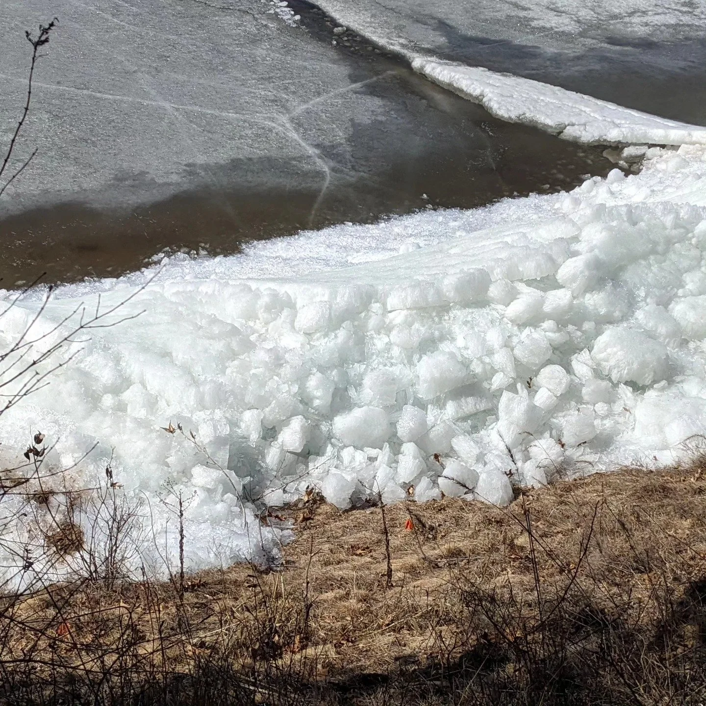 The ice piled up on the eastern shoreline of the Petenwell with the strong winds last  Friday.  The verdict on the shoreline stability won't be known until the big thaw finishes. #petenwellandcastlerockstewards