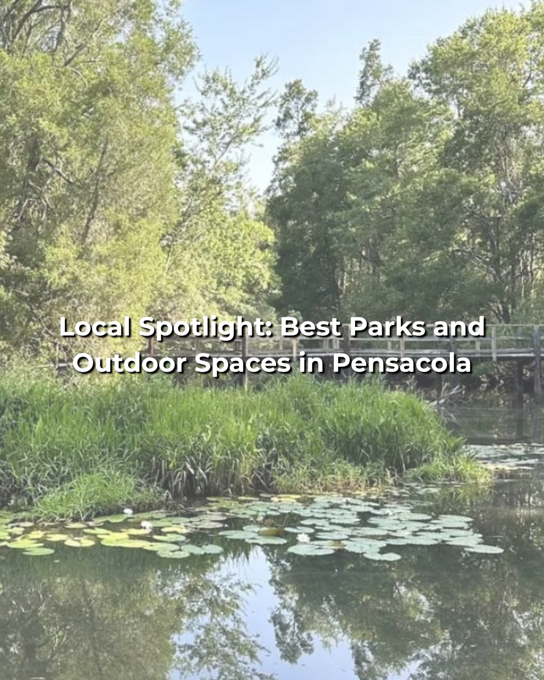 Local Spotlight: Best Parks and Outdoor Spaces in Pensacola