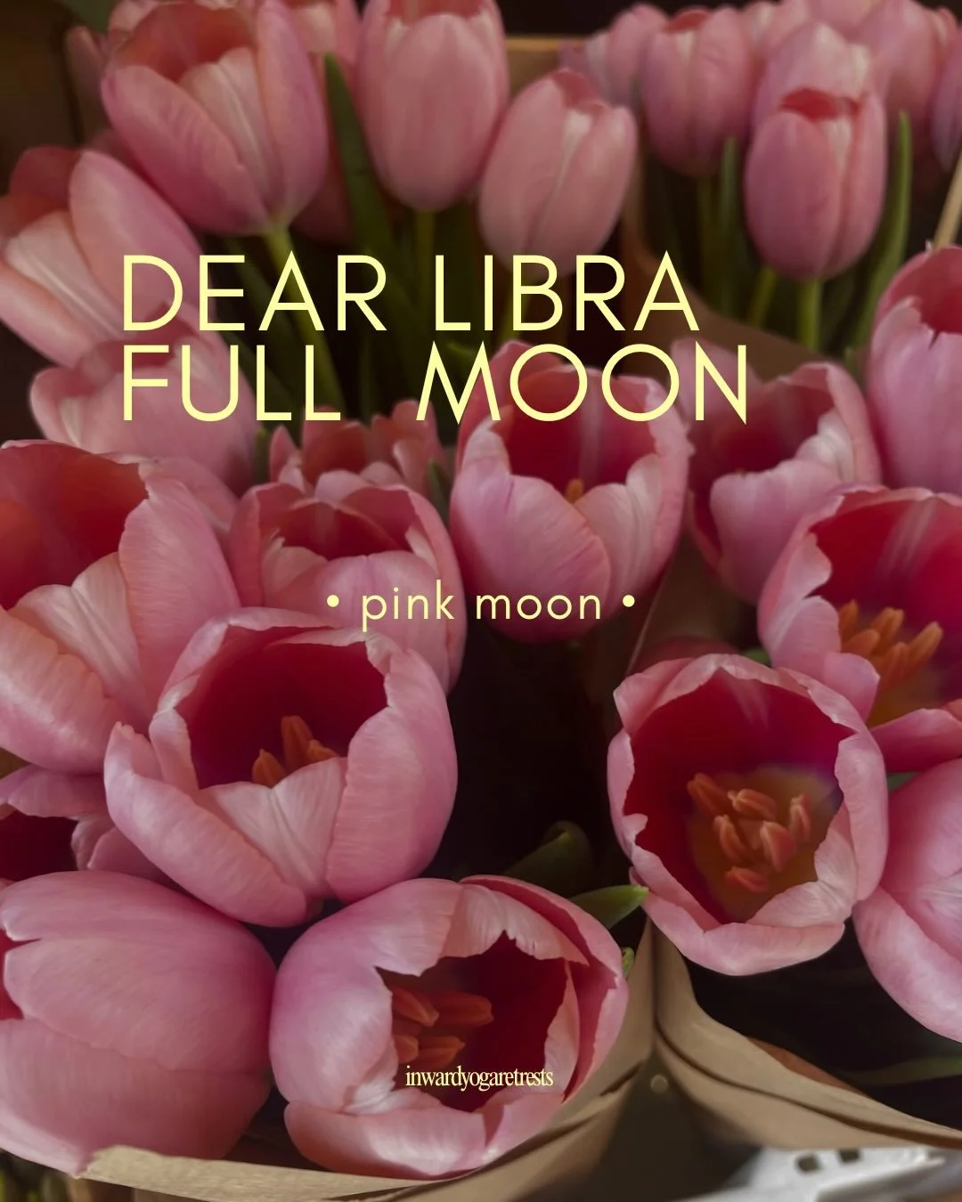 The full moon on April 1~ Following the energy of the moon gives us a chance to embody the energy of each astrological season &amp; discover what it has to offer us. 

Libra asks us to observe balance and Aries asks us to look at it from within. 

⚖️