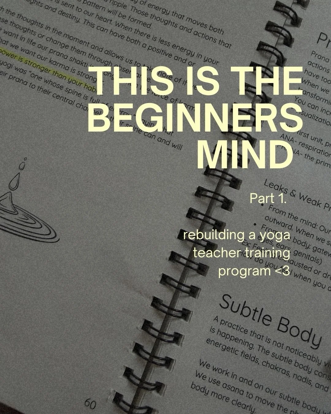 Without judgment or expectations. Curiosity &amp; presence 🌱

&bull;&bull;&bull;
#yogateachertraining #ytt #beginnersmind