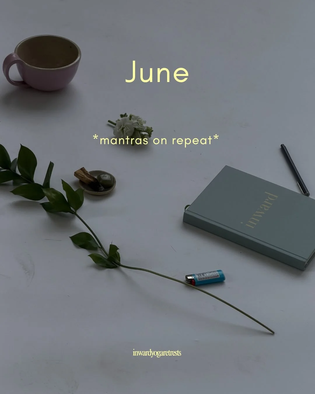 Welcoming June ~ well rooted &amp; ready 🌸 Take what you need and leave the rest.