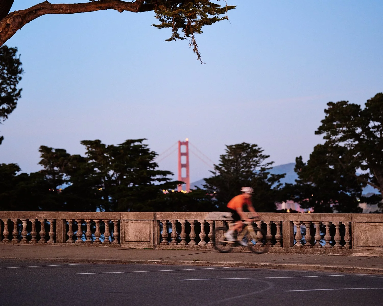 2026-03-13 - 2026-03-18 - Mitchell Sains - 0329 - web.jpg