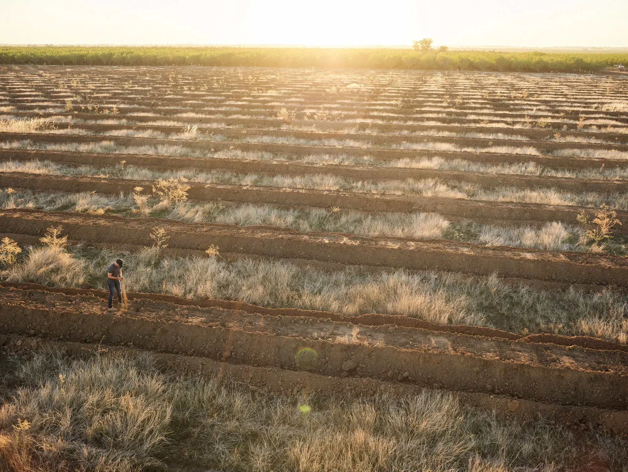 10 - Agriculture overhead farmland photographer central valley california.jpg