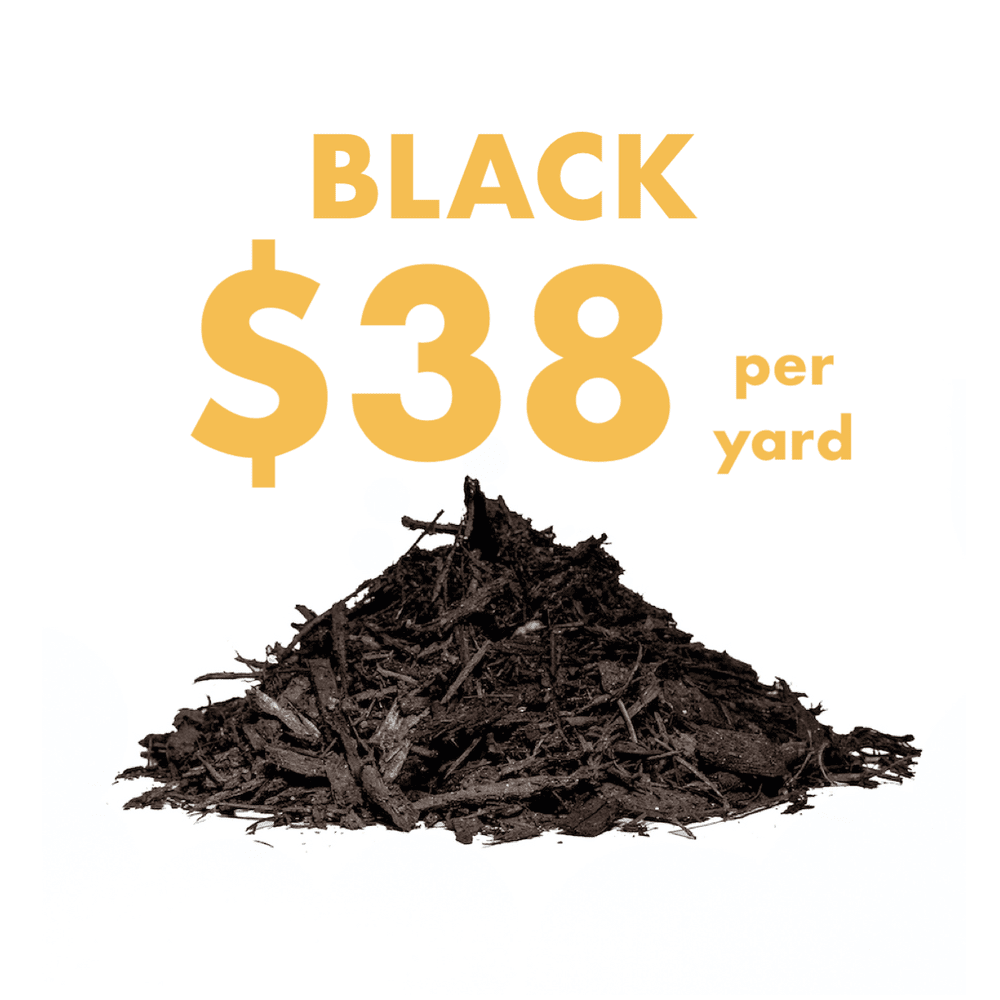 MULCH HERE NOW Athens, Ga.