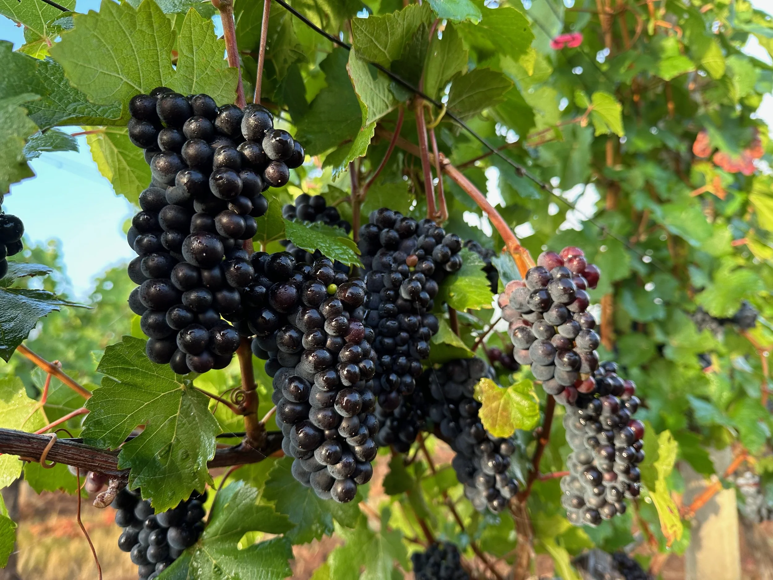 The 777 block September 3 of 2023