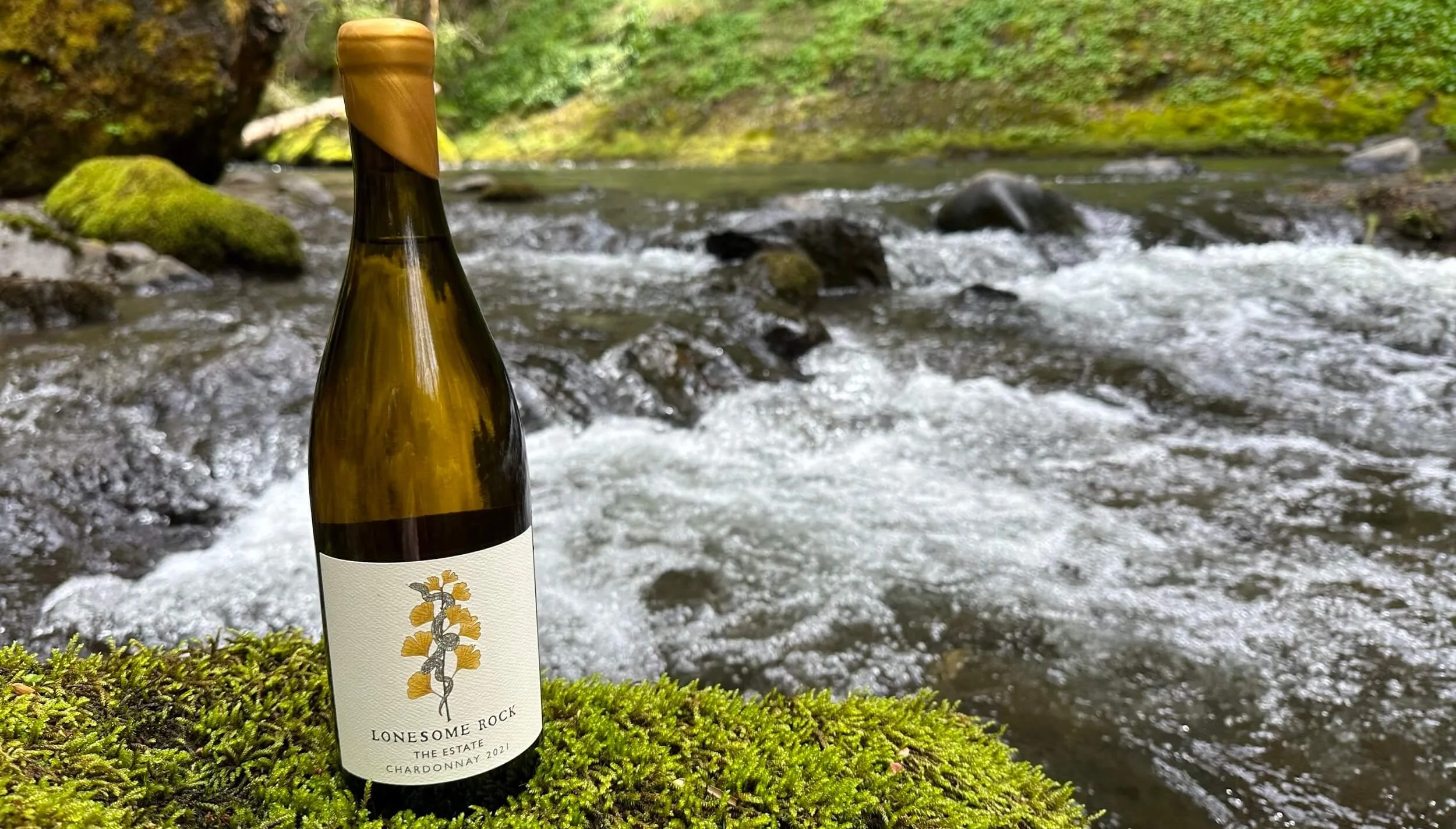 Willamette Valley Chardonnay in its Natural Habitat