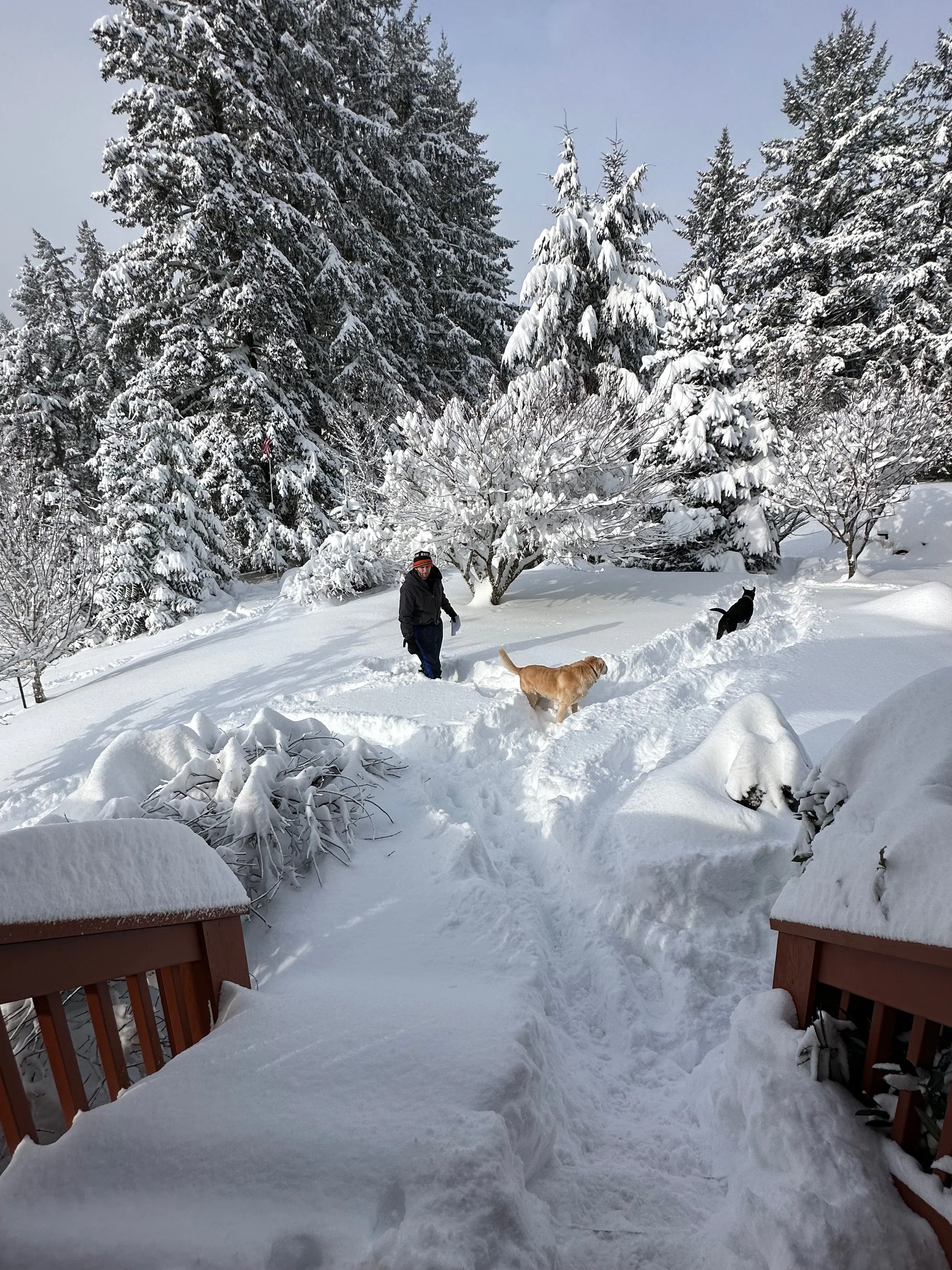 The very cold snowy winter