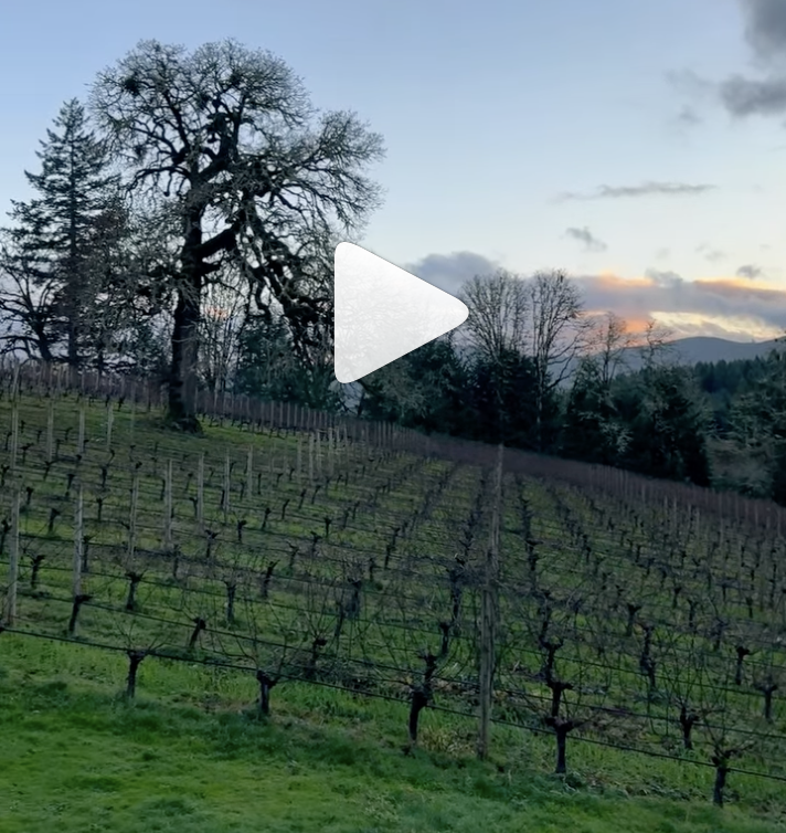 A Vineyard Wine Tour at Lonesome Rock