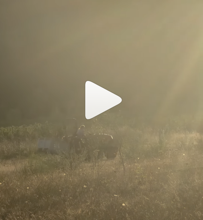 Oregon Chardonnay Celebration 2026 Announcement