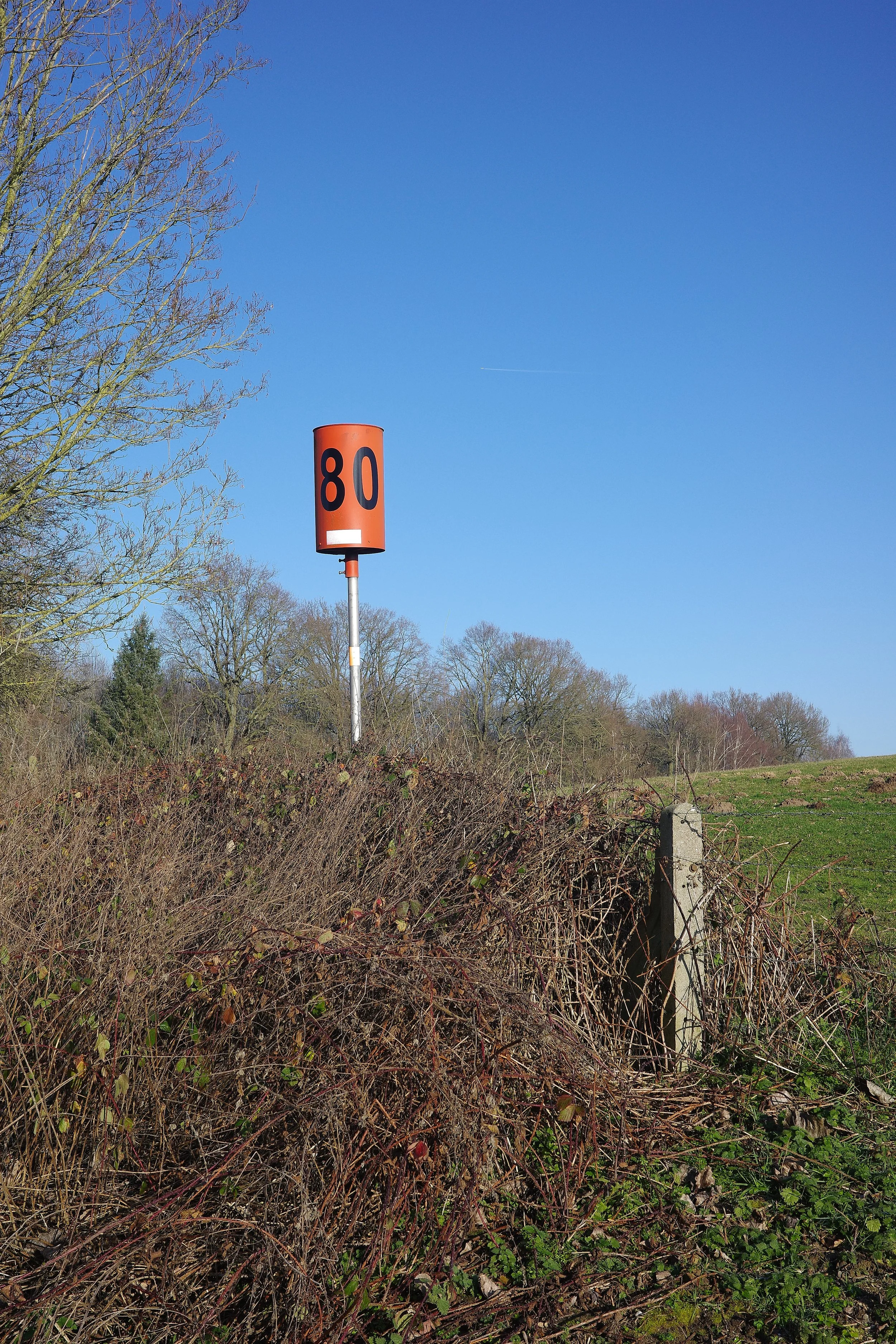 R0001650_RICOH IMAGING COMPANY, LTD._26-12-25_WEB.jpg