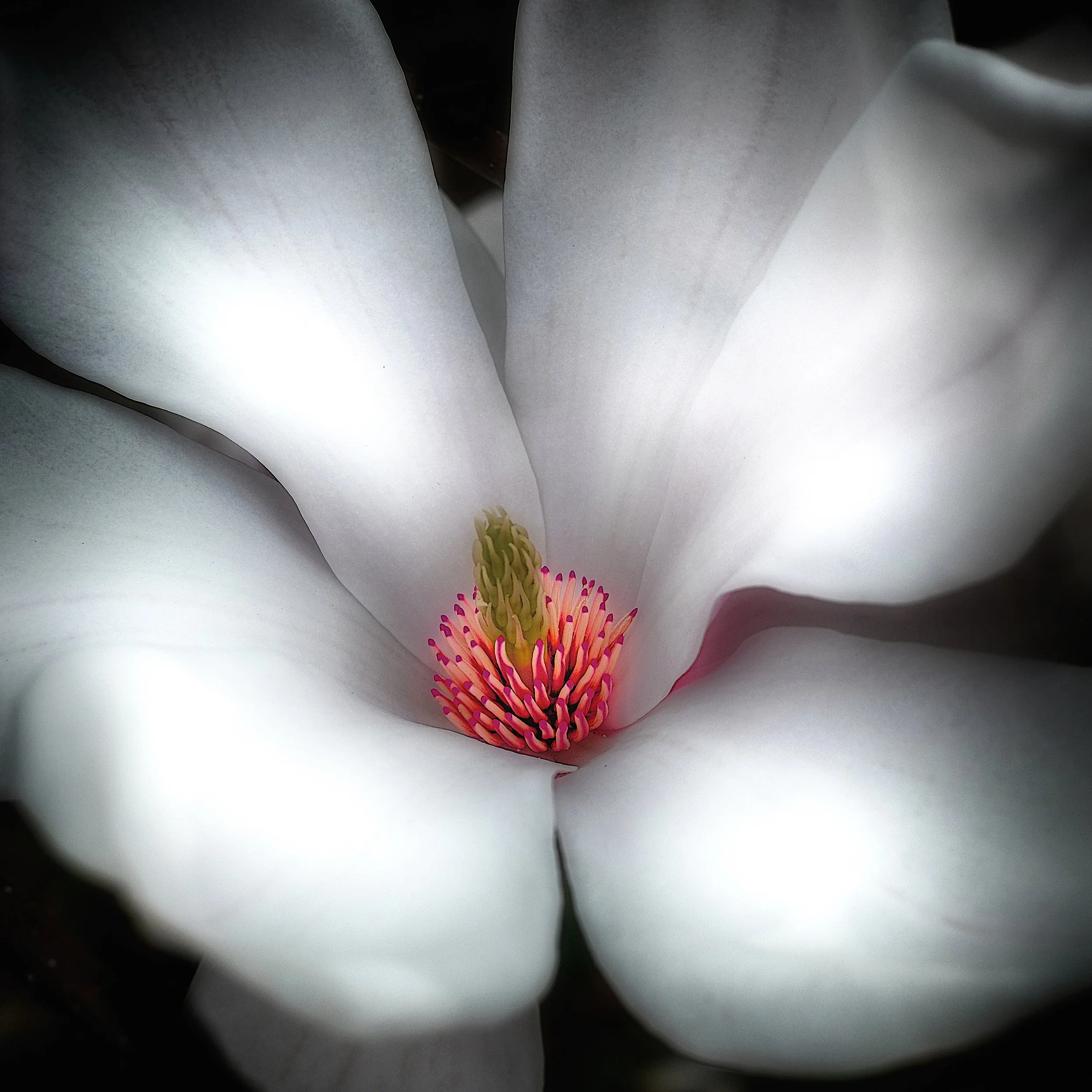 DSCF4034_HDRmai 01 2014Exporter_01-05-14_WEB.jpg