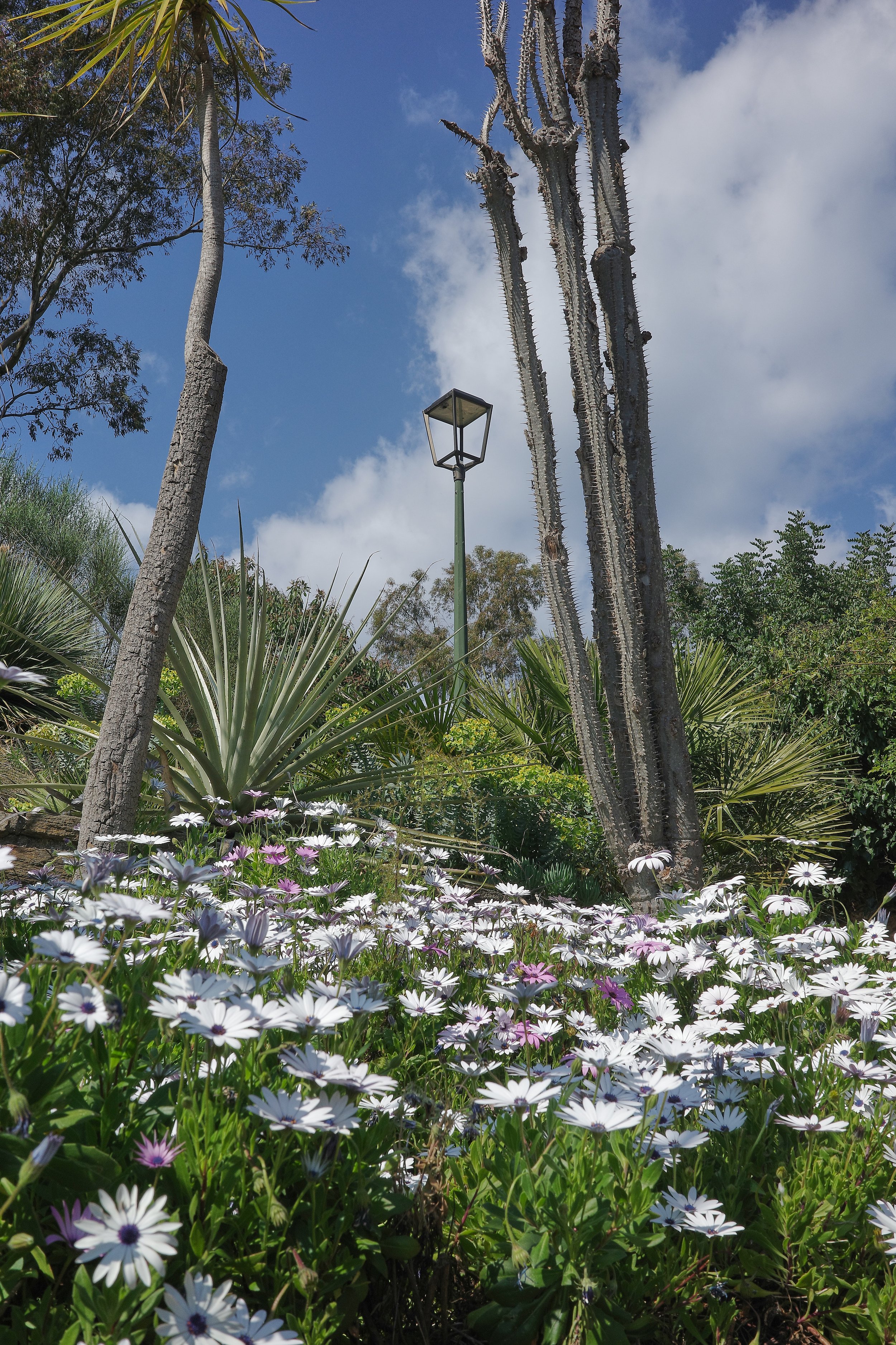 R0002087_RICOH IMAGING COMPANY, LTD._20-03-26_WEB.jpg