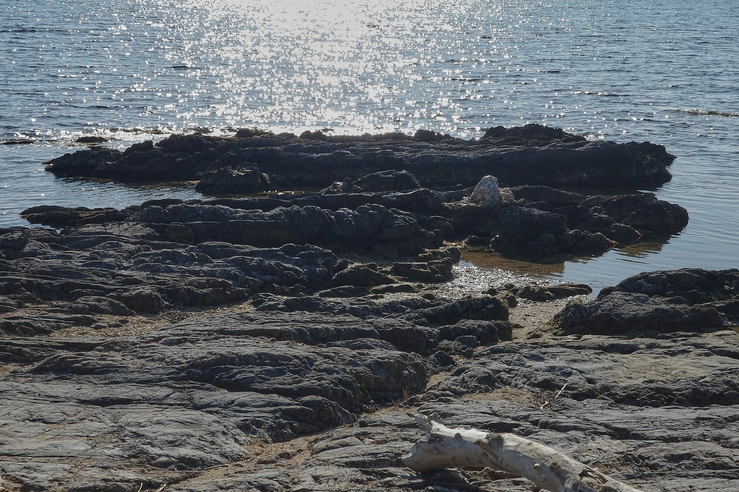 R0002124_RICOH IMAGING COMPANY, LTD._20-03-26_WEB.jpg