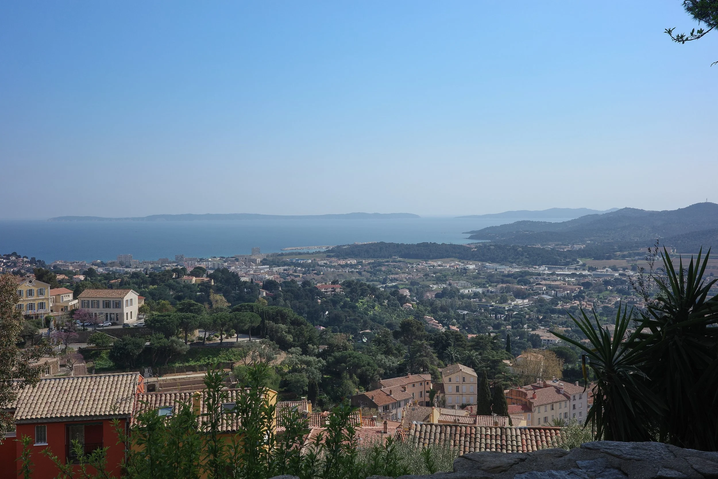 R0002092_RICOH IMAGING COMPANY, LTD._20-03-26_WEB.jpg