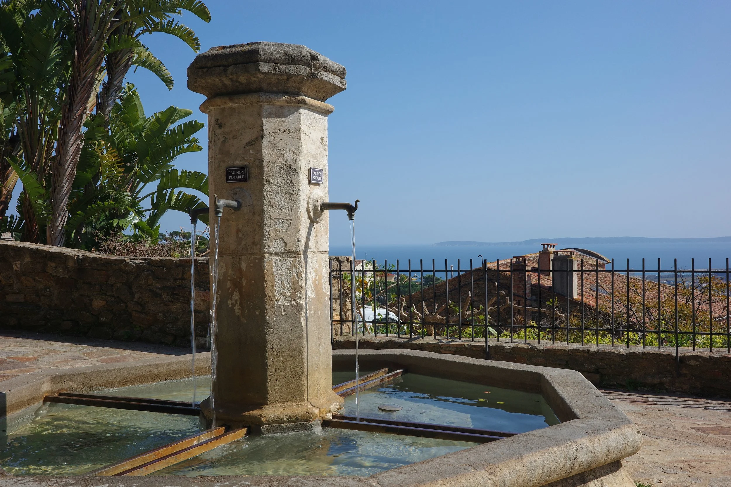 R0002097_RICOH IMAGING COMPANY, LTD._20-03-26_WEB.jpg