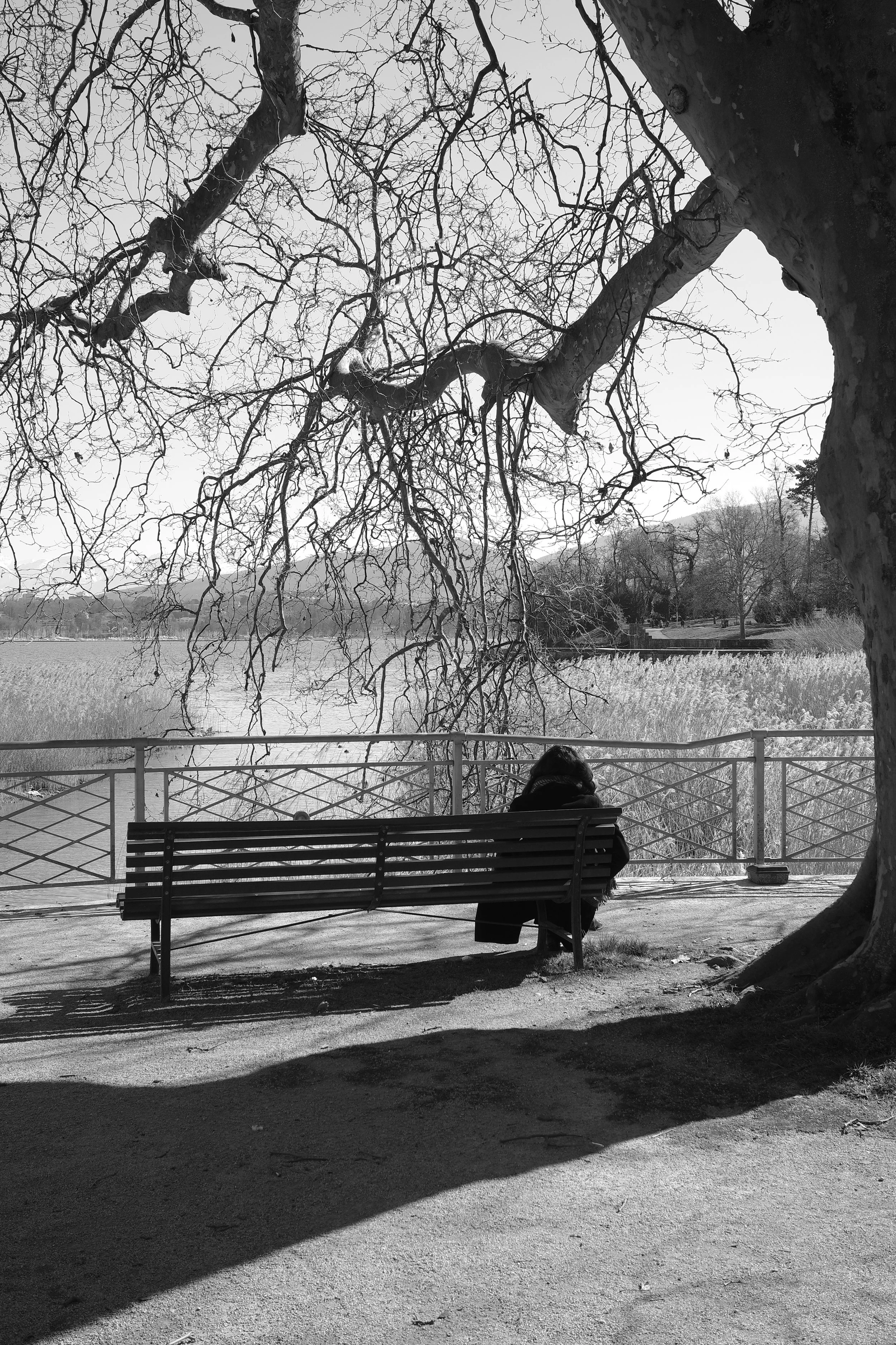 R0000522_RICOH IMAGING COMPANY, LTD..JPG