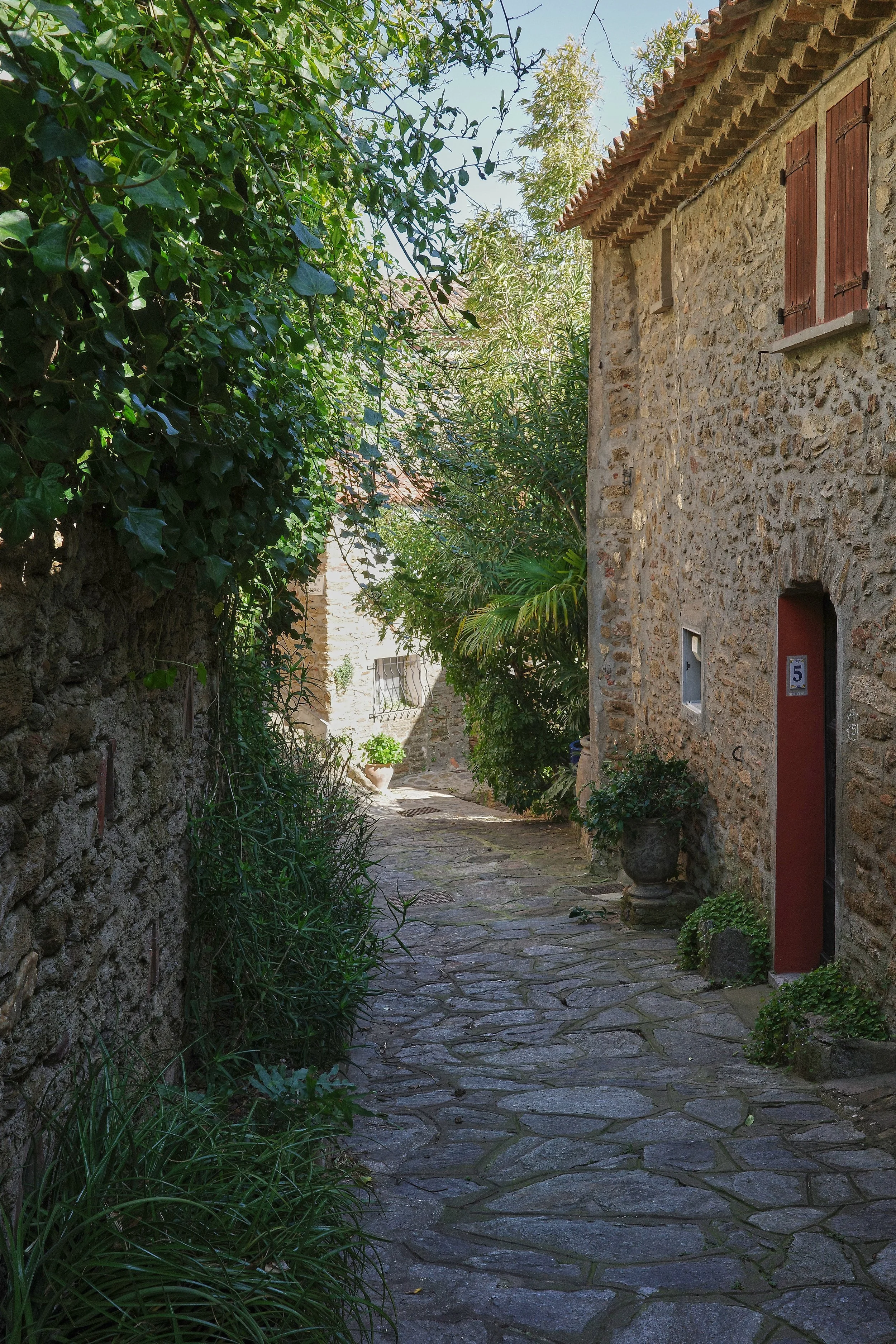 R0002101_RICOH IMAGING COMPANY, LTD._20-03-26_WEB.jpg