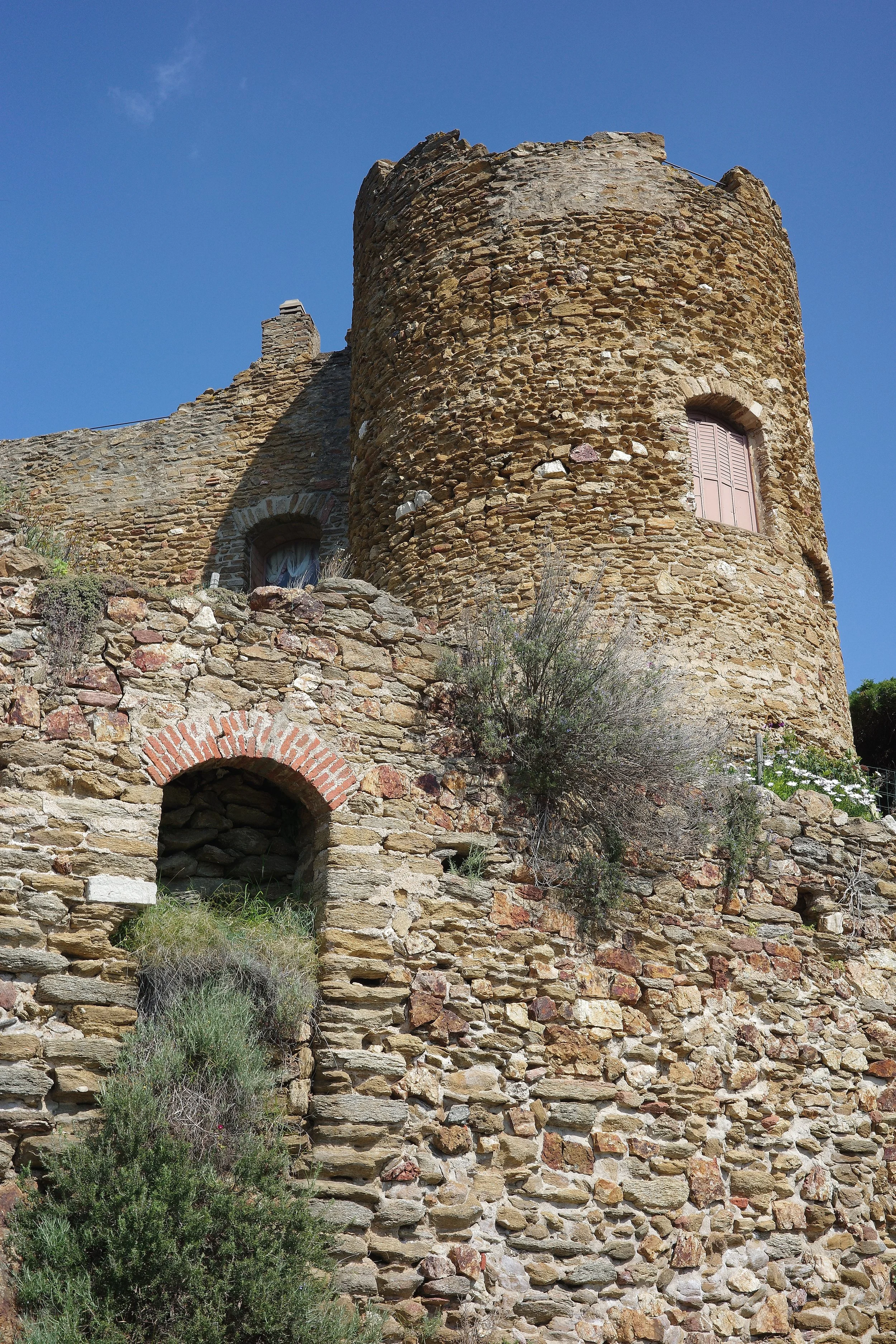 R0002094_RICOH IMAGING COMPANY, LTD._20-03-26_WEB.jpg