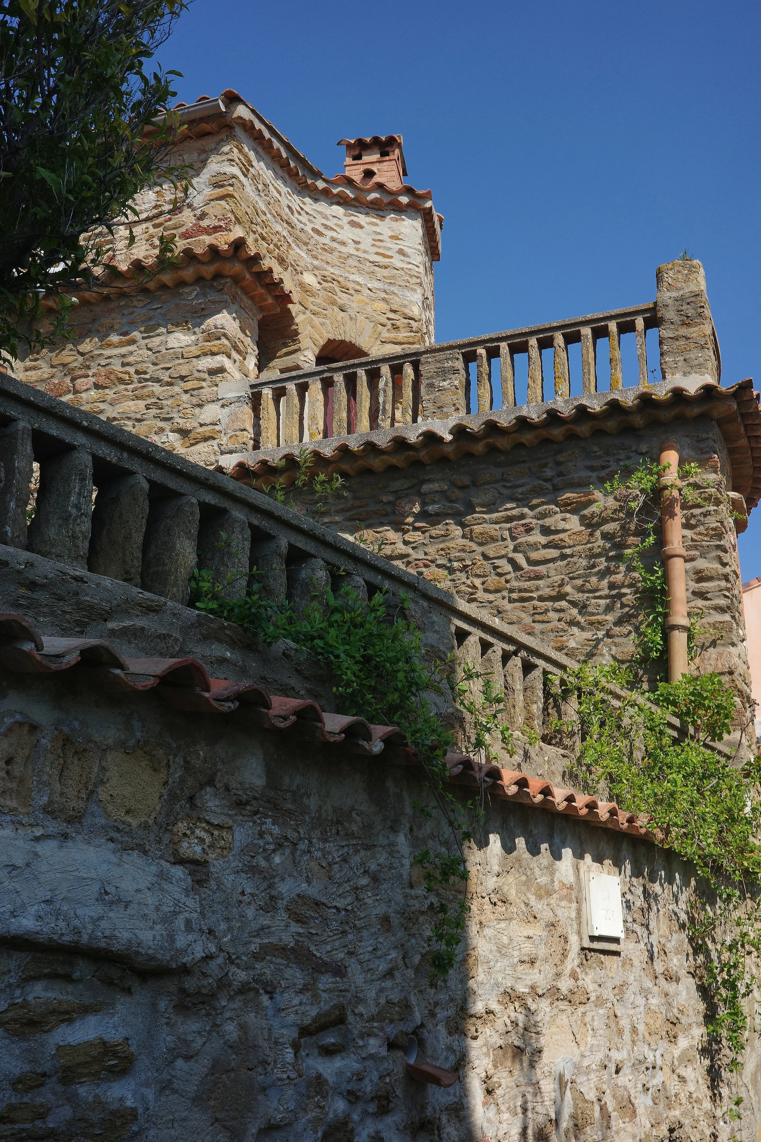 R0002096_RICOH IMAGING COMPANY, LTD._20-03-26_WEB.jpg