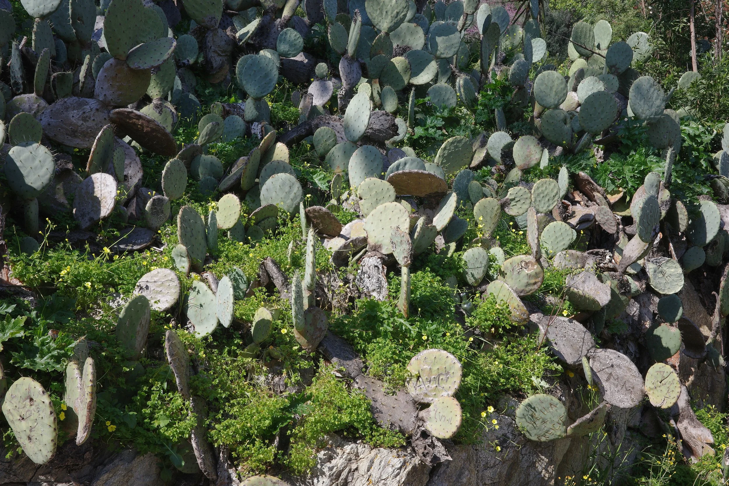 R0002082_RICOH IMAGING COMPANY, LTD._20-03-26_WEB.jpg