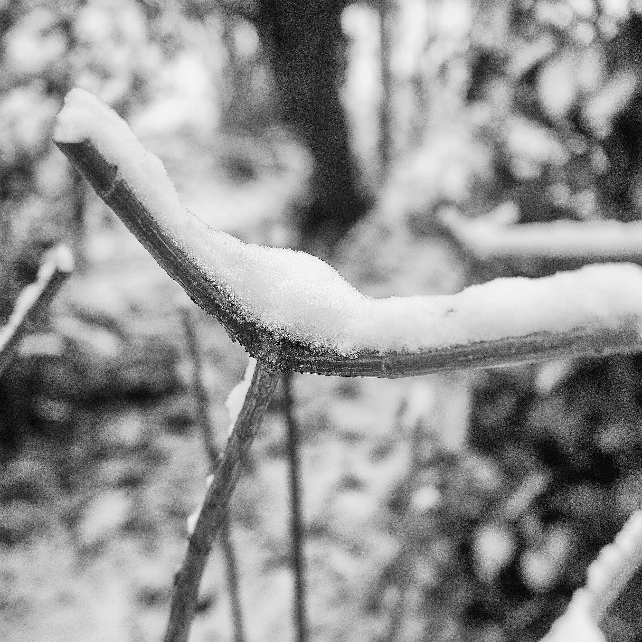 R0001814_RICOH IMAGING COMPANY, LTD._11-01-26_WEB.jpg