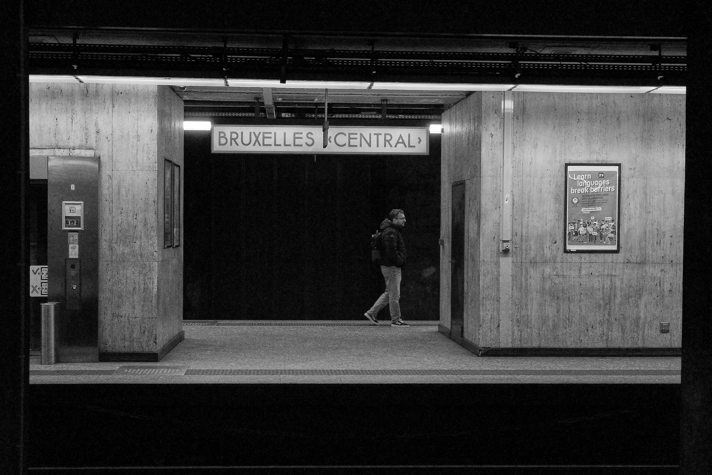 R0002050_RICOH IMAGING COMPANY, LTD._16-02-26_WEB.jpg