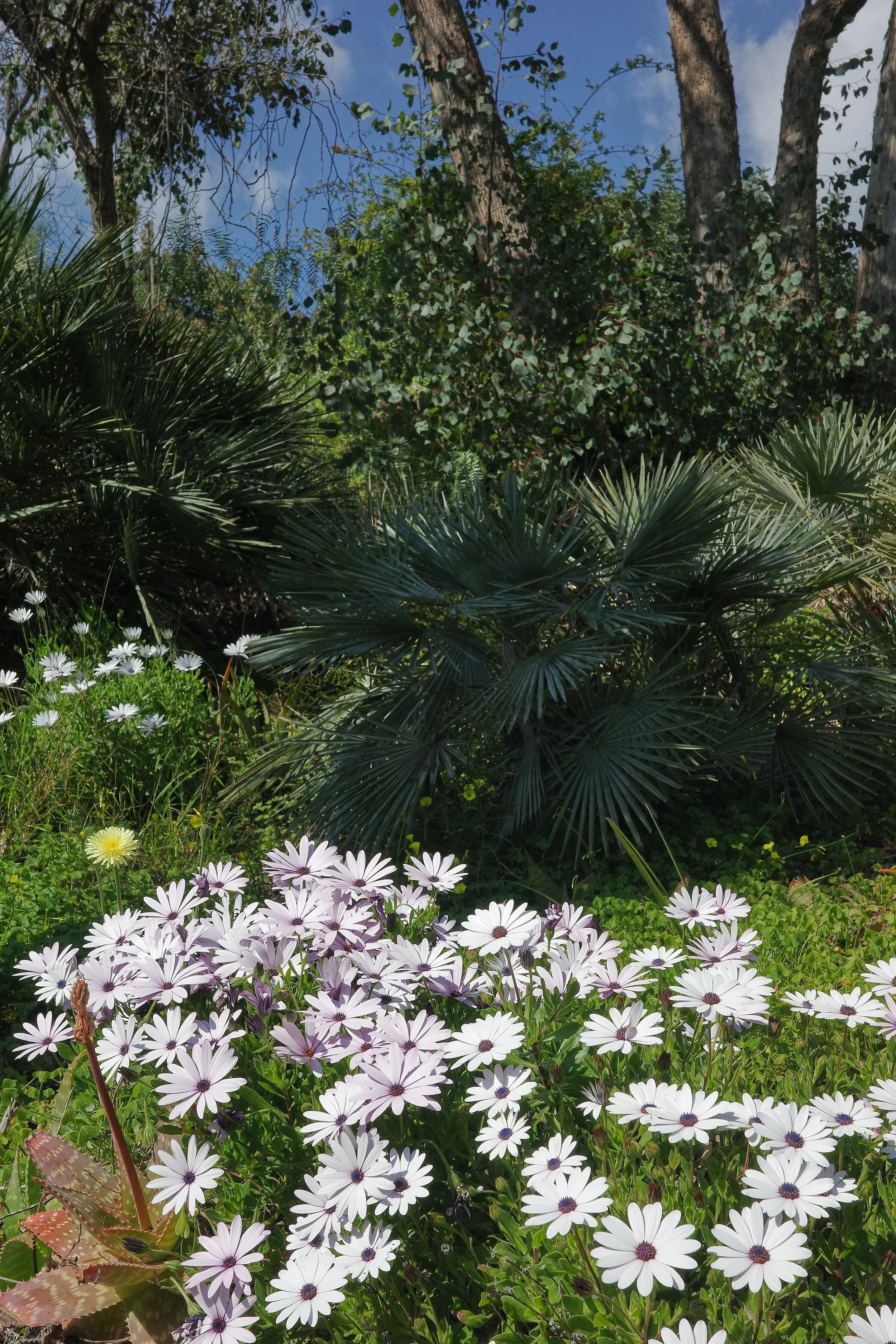 R0002086_RICOH IMAGING COMPANY, LTD._20-03-26_WEB.jpg