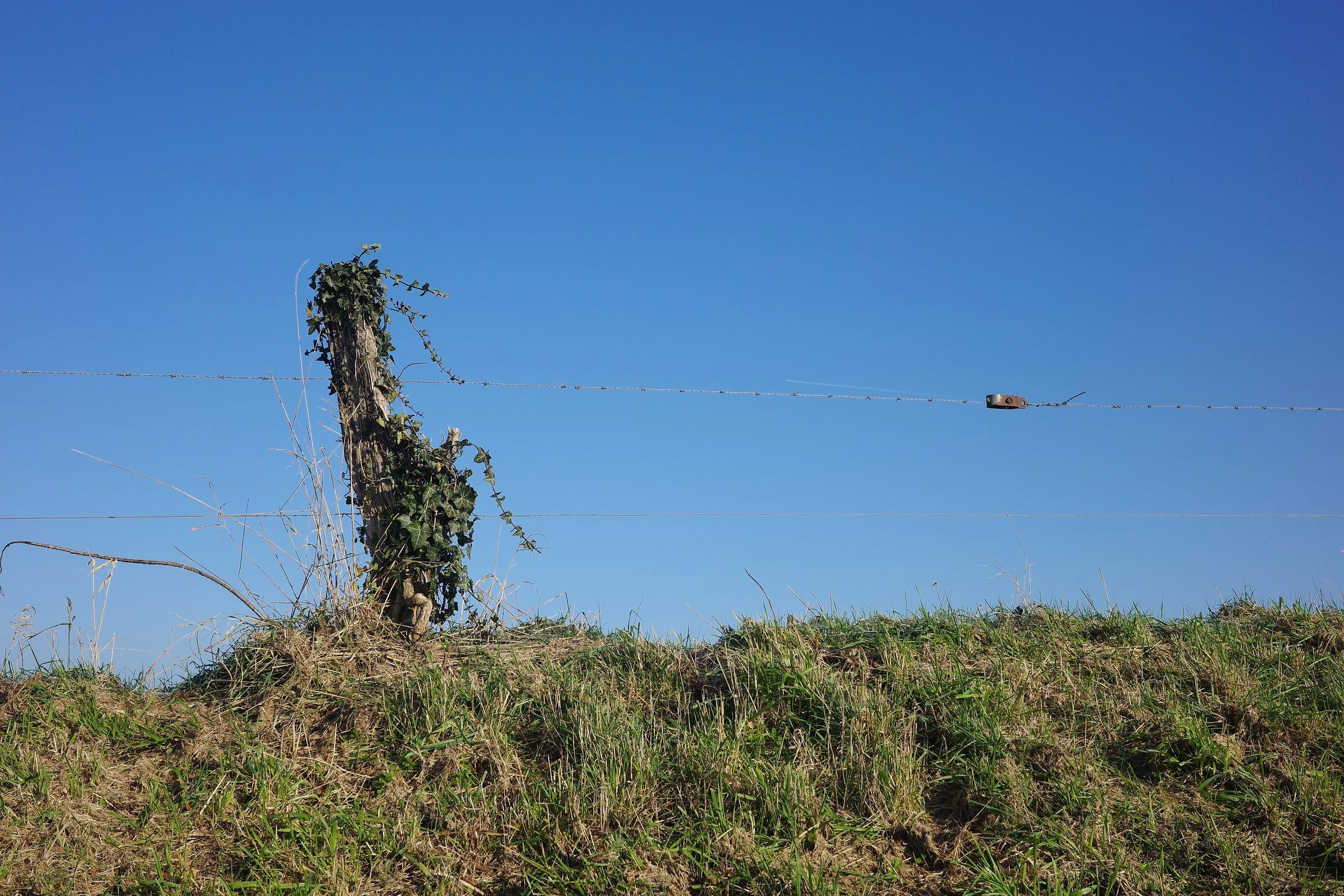 R0001635_RICOH IMAGING COMPANY, LTD._26-12-25_WEB.jpg