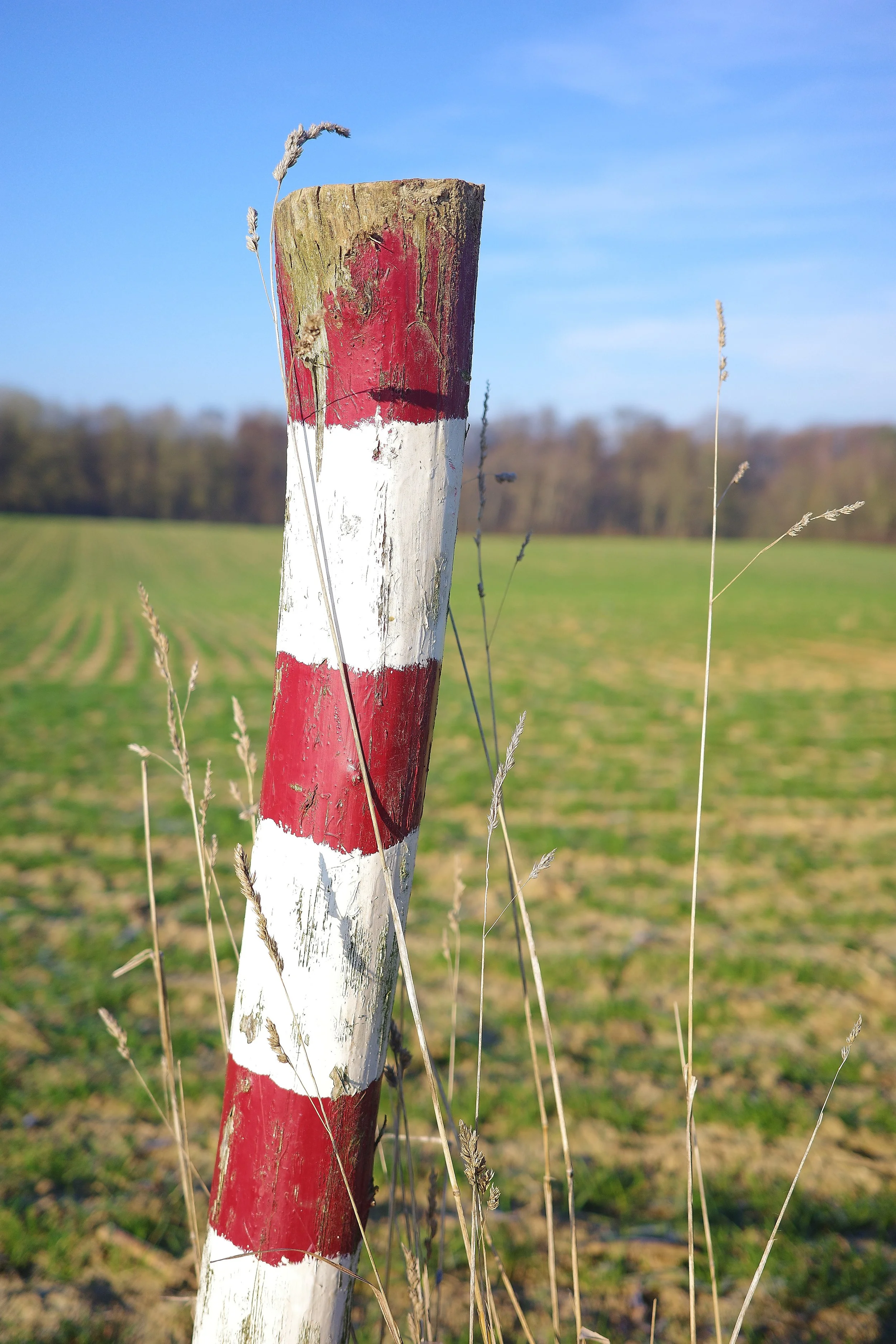 R0001634_RICOH IMAGING COMPANY, LTD._26-12-25_WEB.jpg