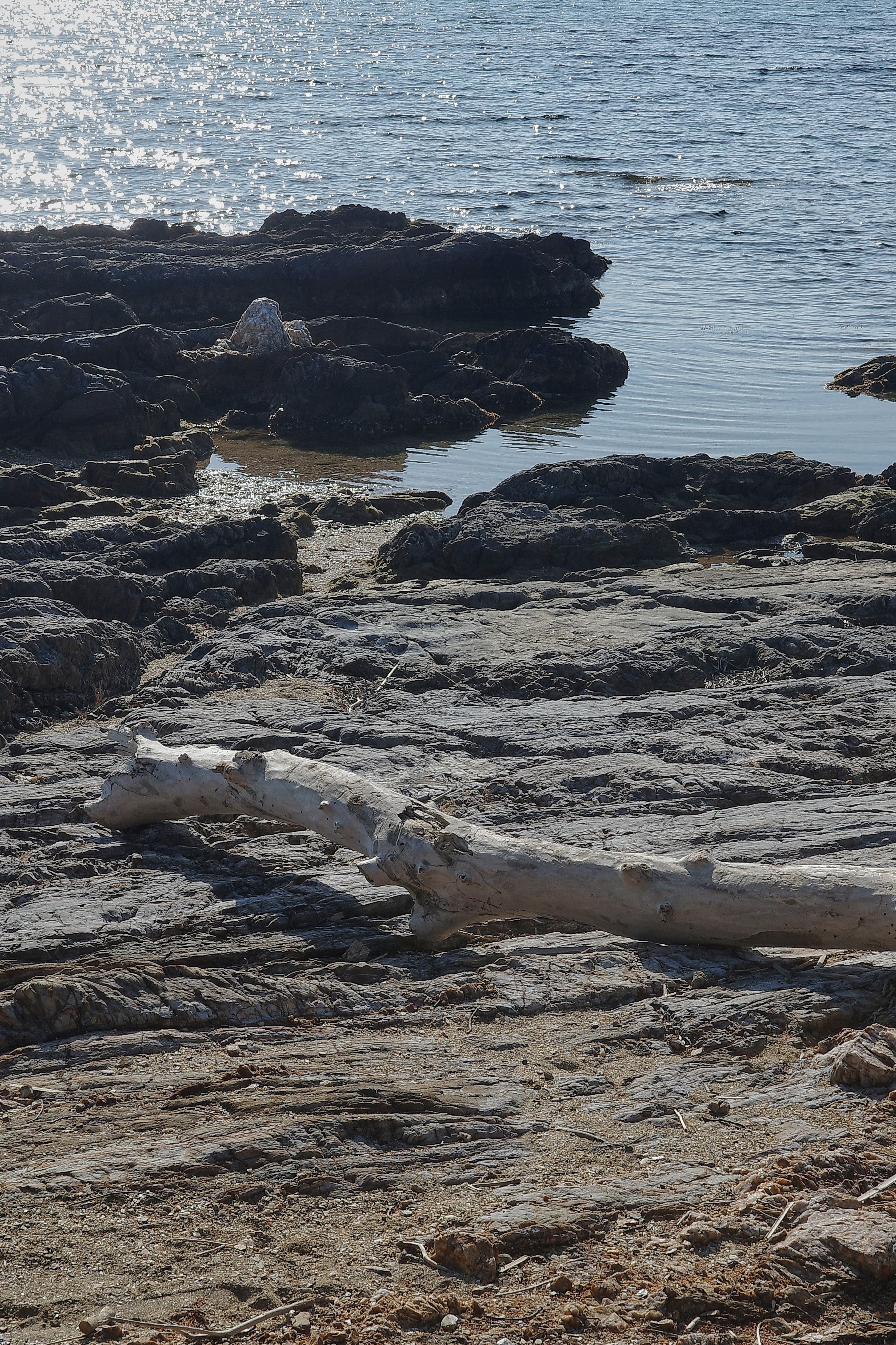 R0002125_RICOH IMAGING COMPANY, LTD._20-03-26_WEB.jpg