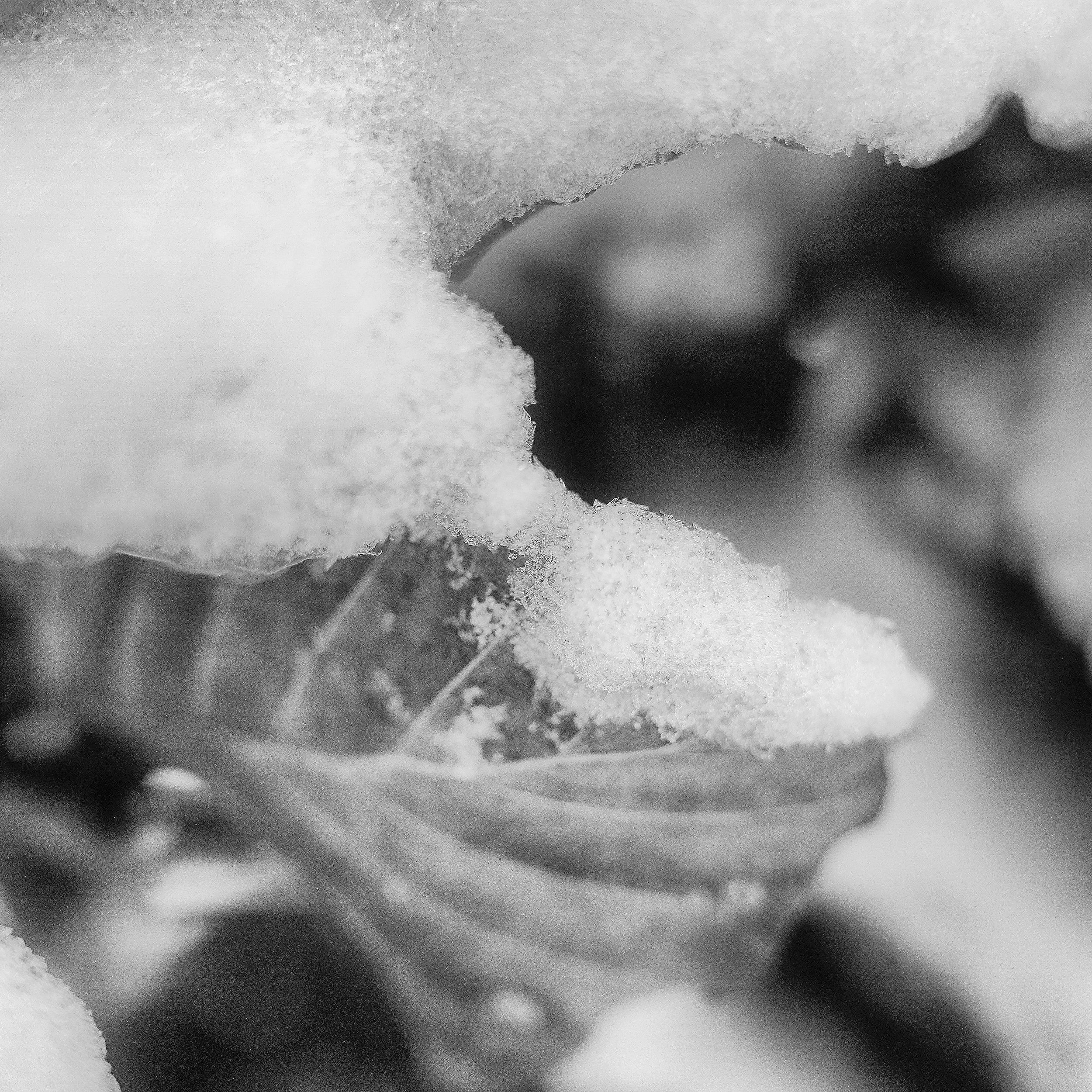 R0001832_RICOH IMAGING COMPANY, LTD._11-01-26_WEB.jpg