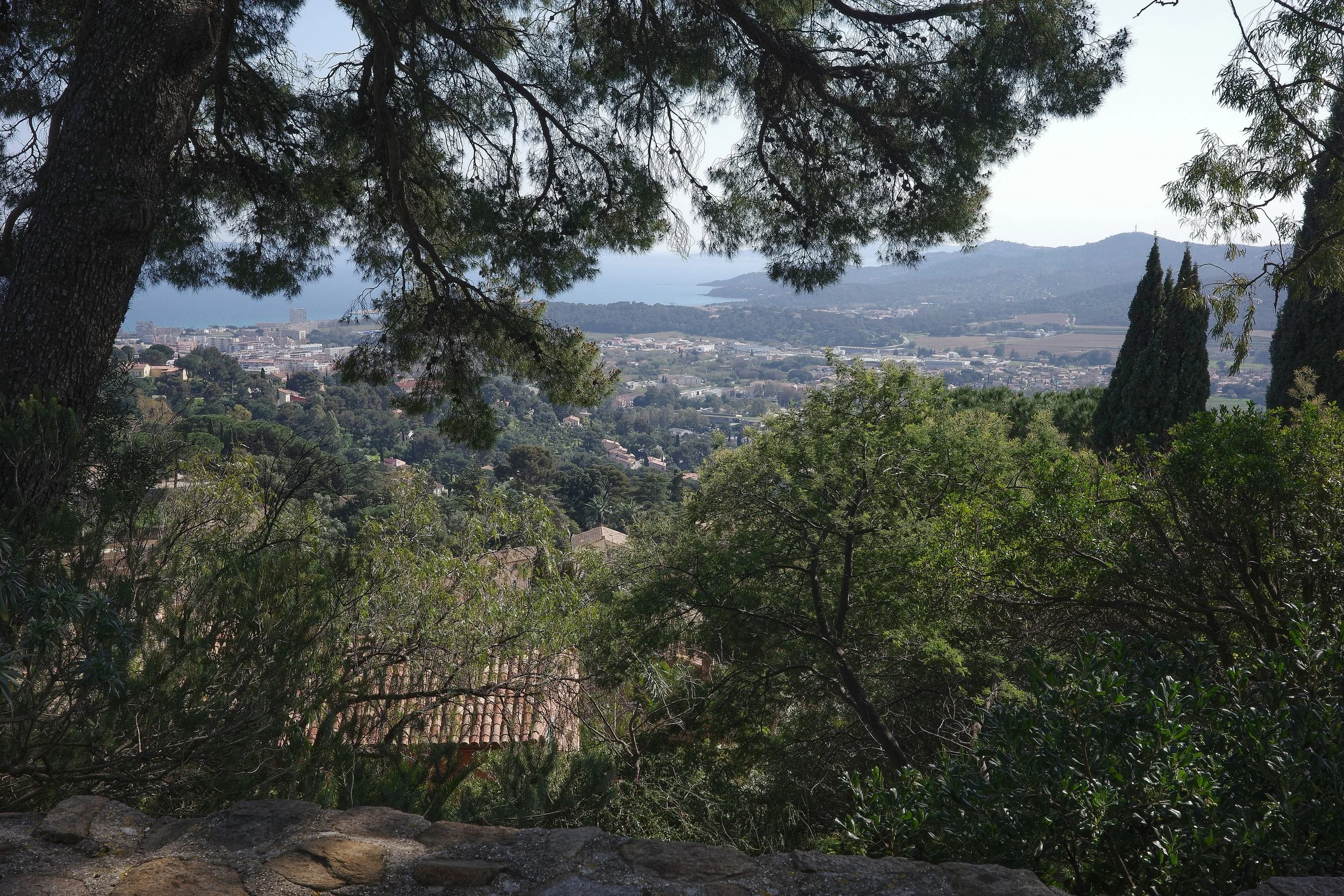 R0002090_RICOH IMAGING COMPANY, LTD._20-03-26_WEB.jpg