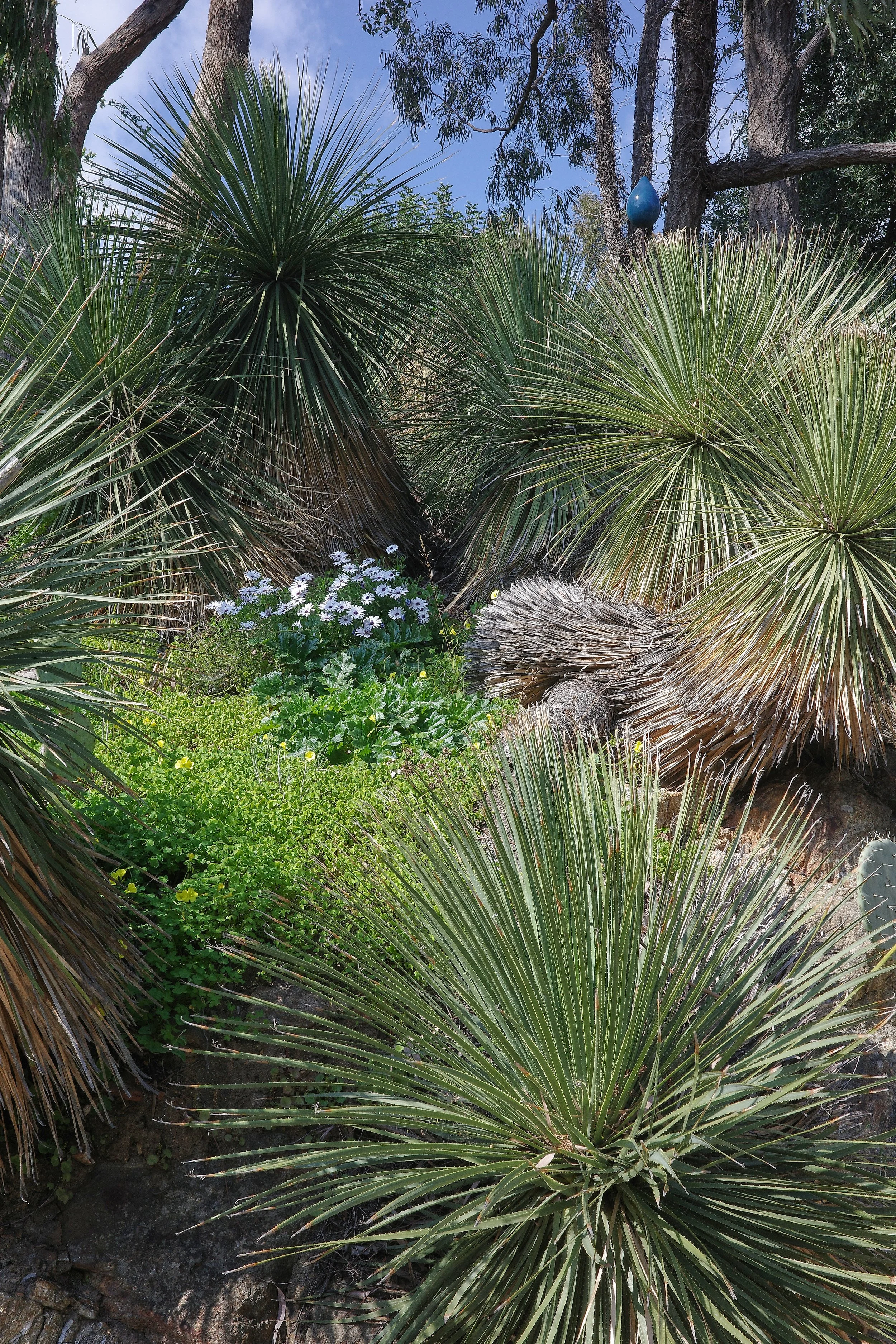 R0002084_RICOH IMAGING COMPANY, LTD._20-03-26_WEB.jpg