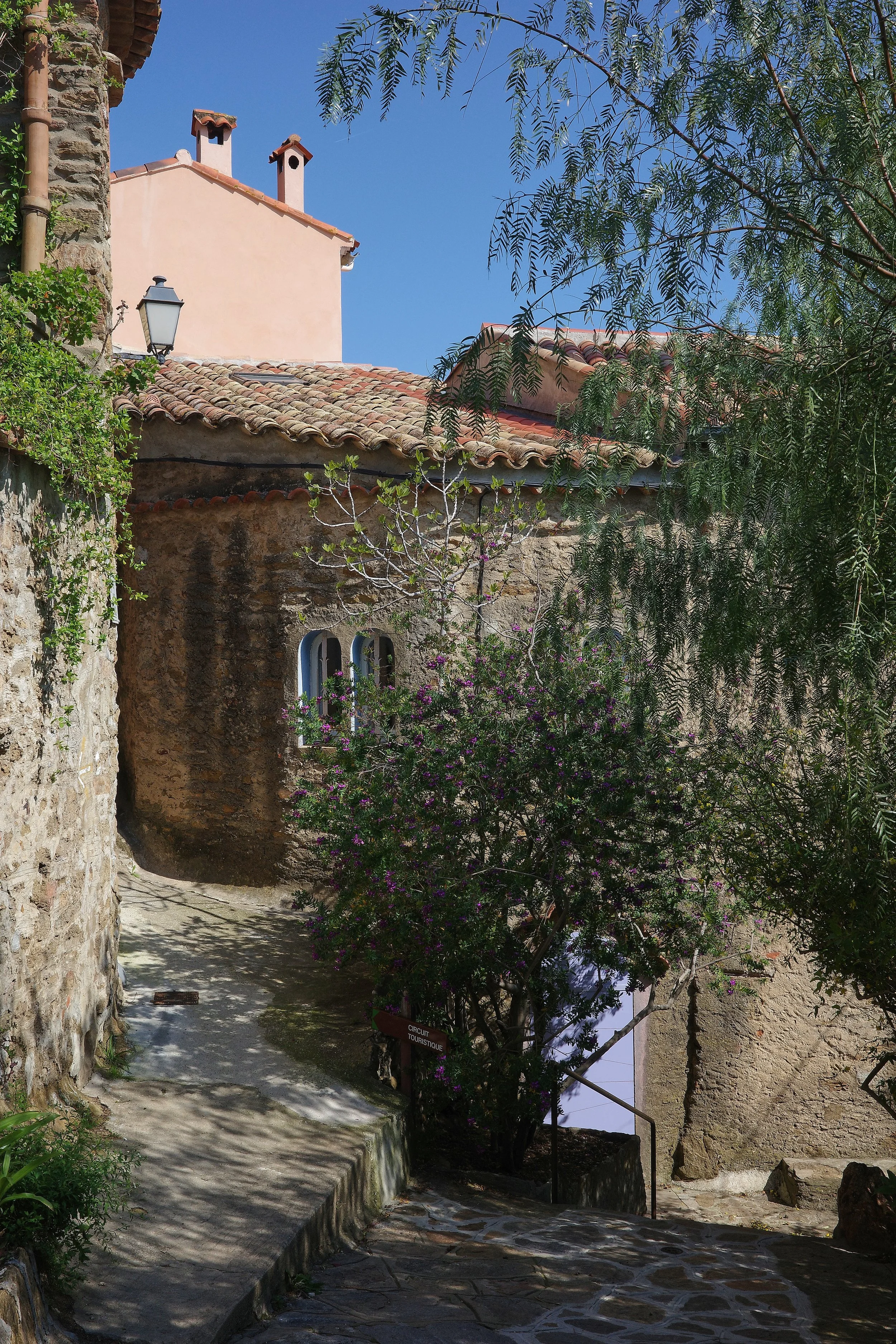 R0002095_RICOH IMAGING COMPANY, LTD._20-03-26_WEB.jpg