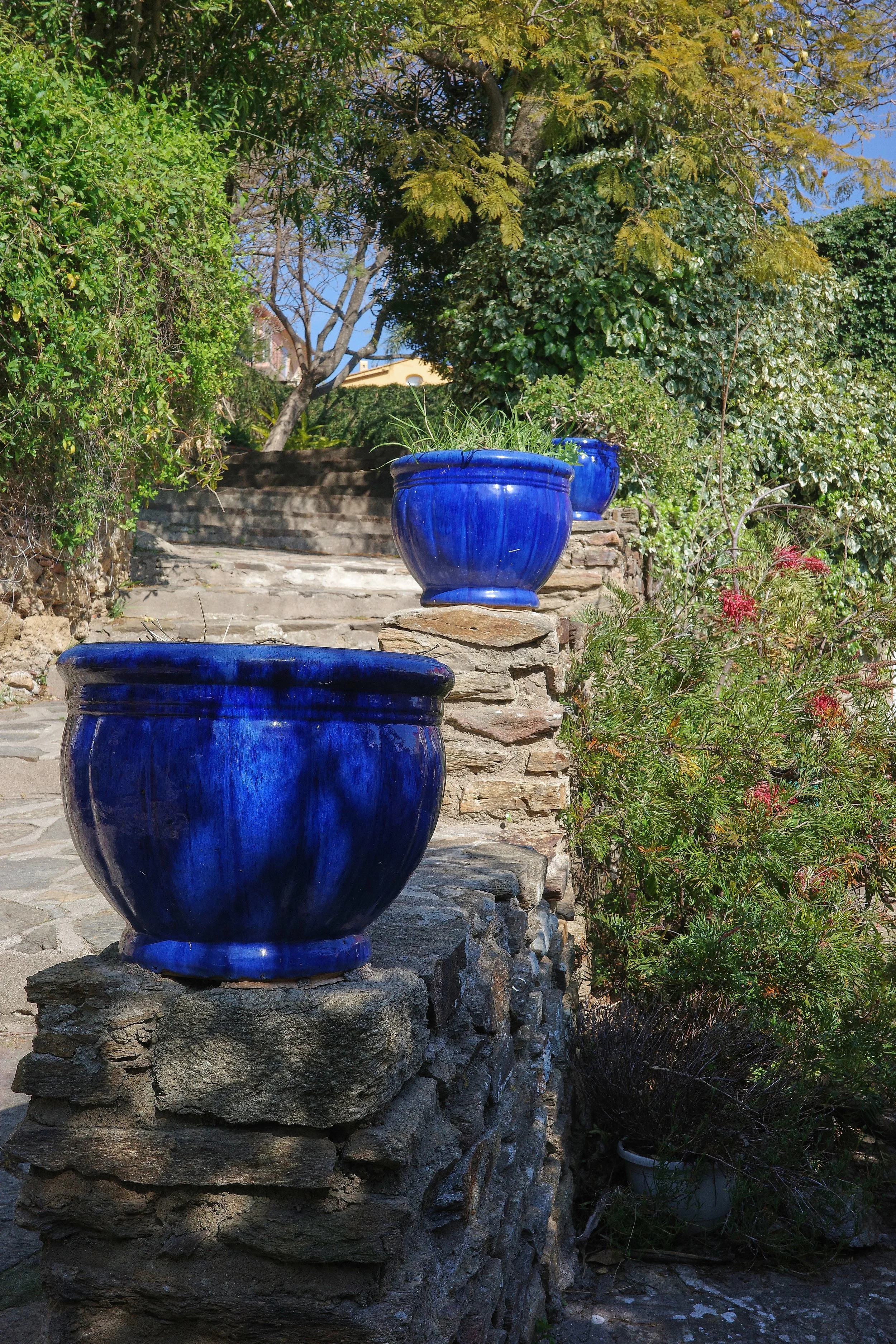 R0002099_RICOH IMAGING COMPANY, LTD._20-03-26_WEB.jpg