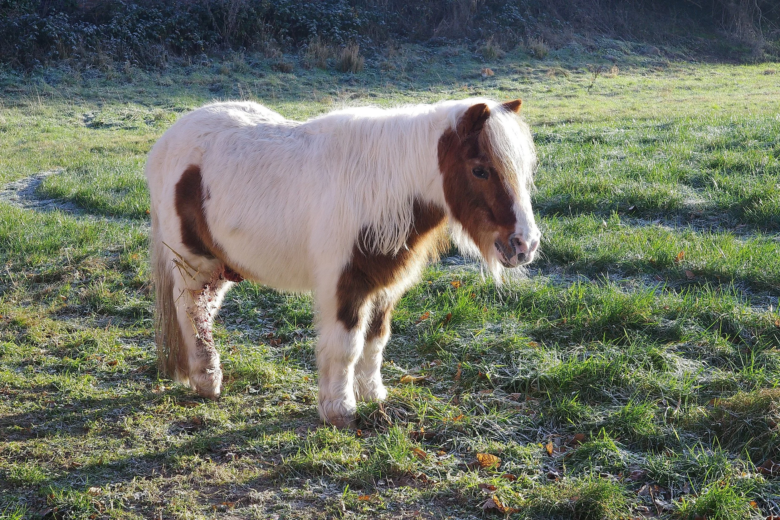 R0001637_RICOH IMAGING COMPANY, LTD._26-12-25_WEB.jpg