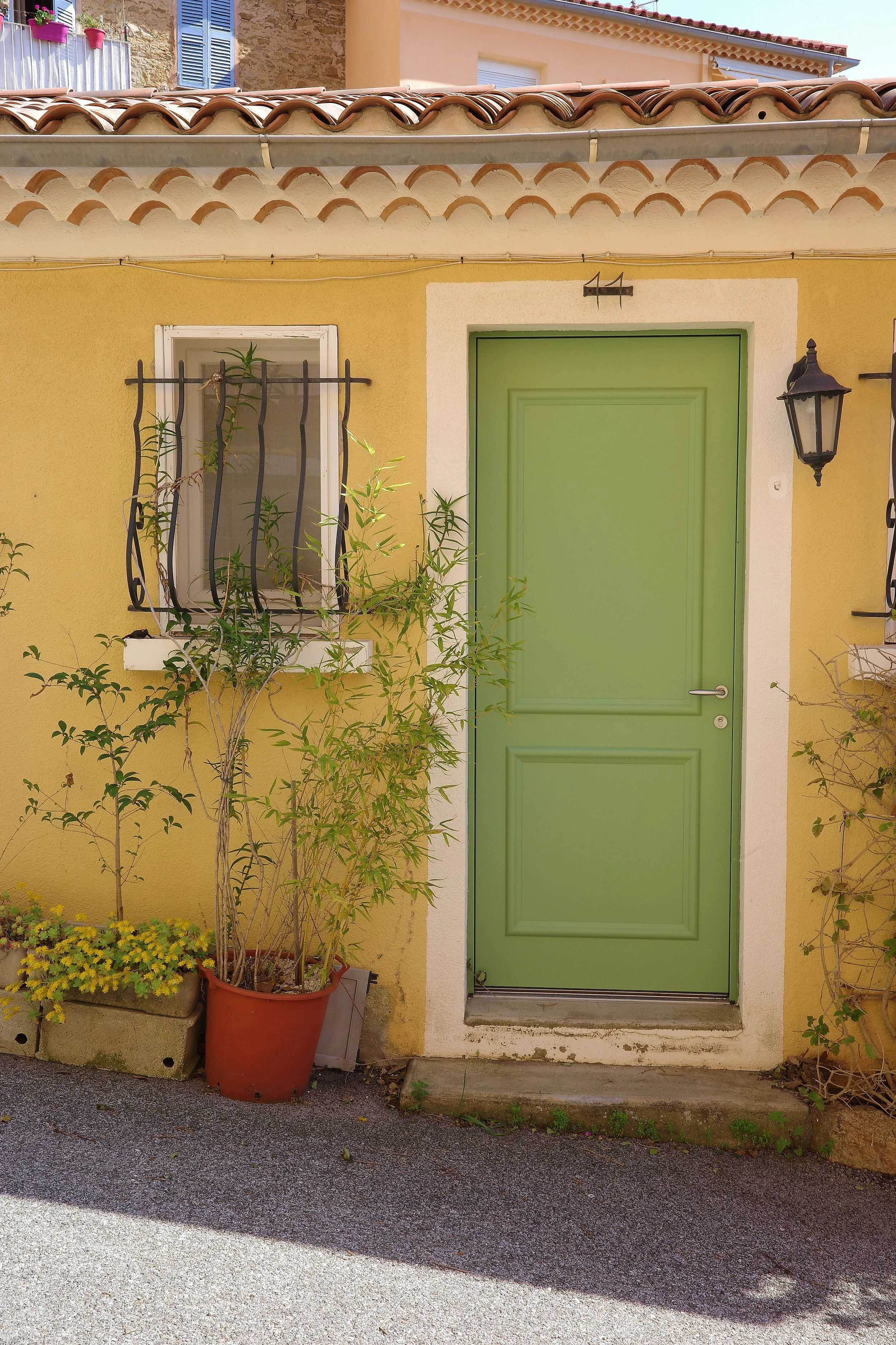 R0002110_RICOH IMAGING COMPANY, LTD._20-03-26_WEB.jpg